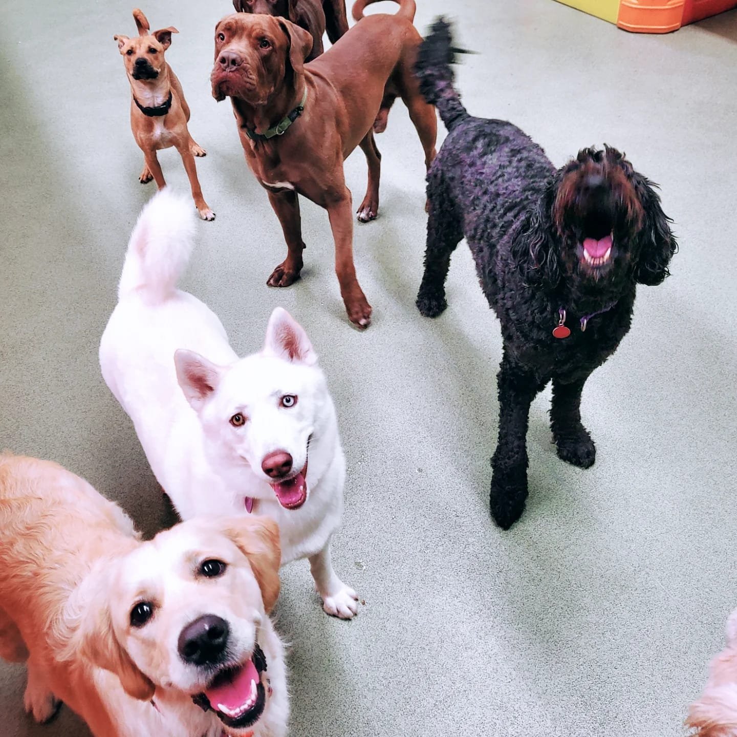 0c63390c-648f-45ce-9409-c9d9760b0b30