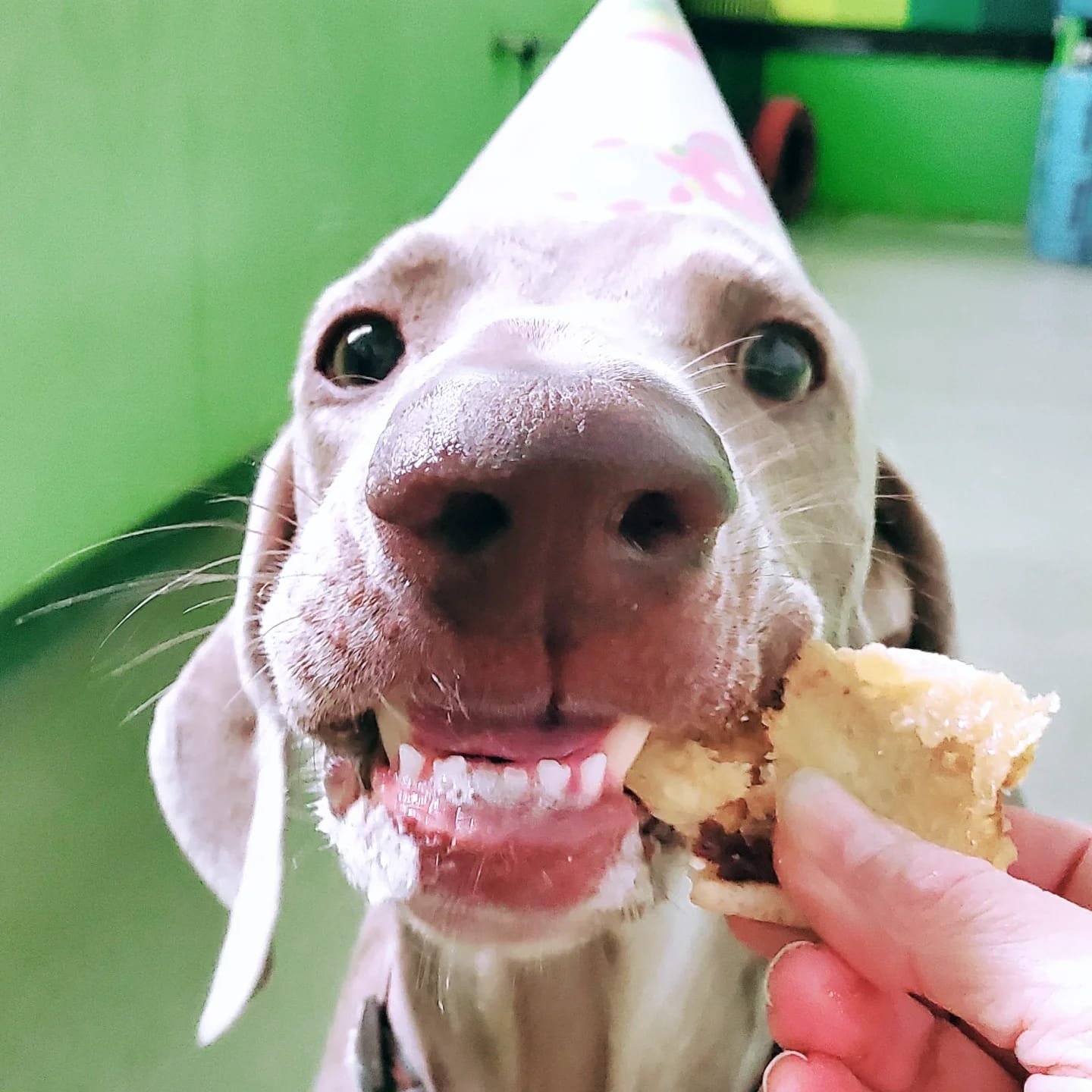 108cba0e-f50b-4bd8-9cc0-5f424e74890e