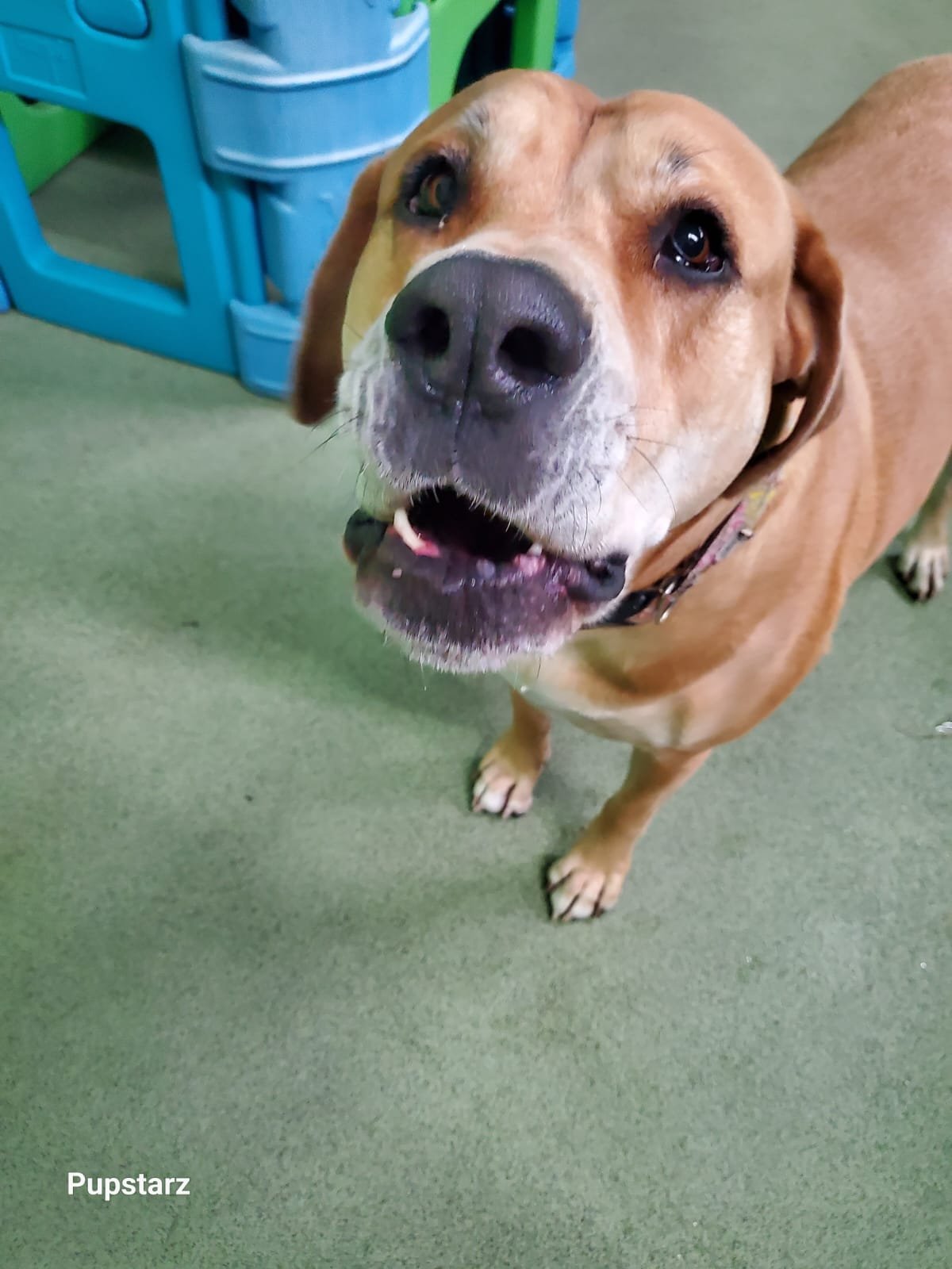 11a5da0d-a77d-4a04-84da-ad5f2ea44cab