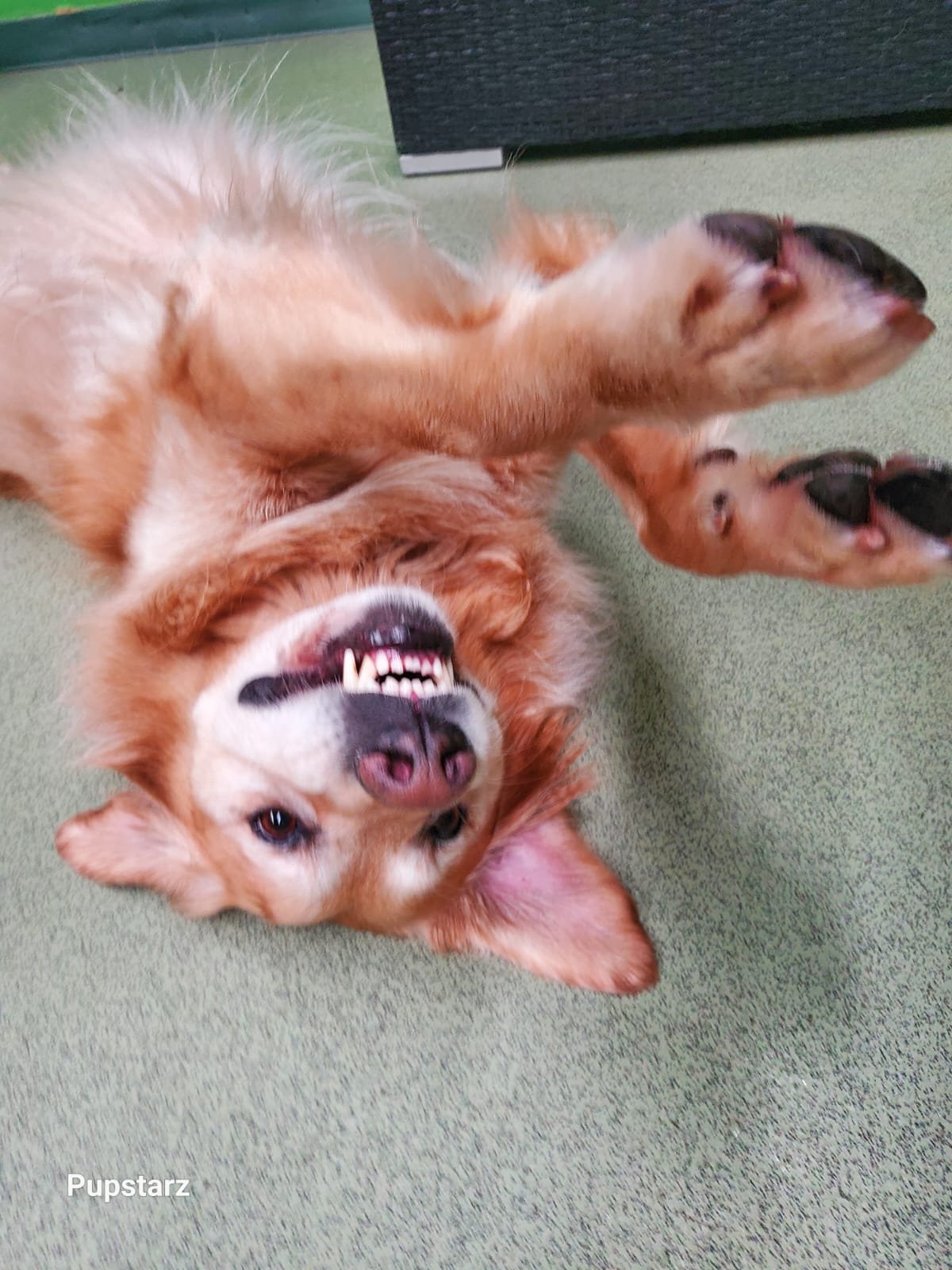 13bc207f-deb4-4665-a085-8e1b40eb84be