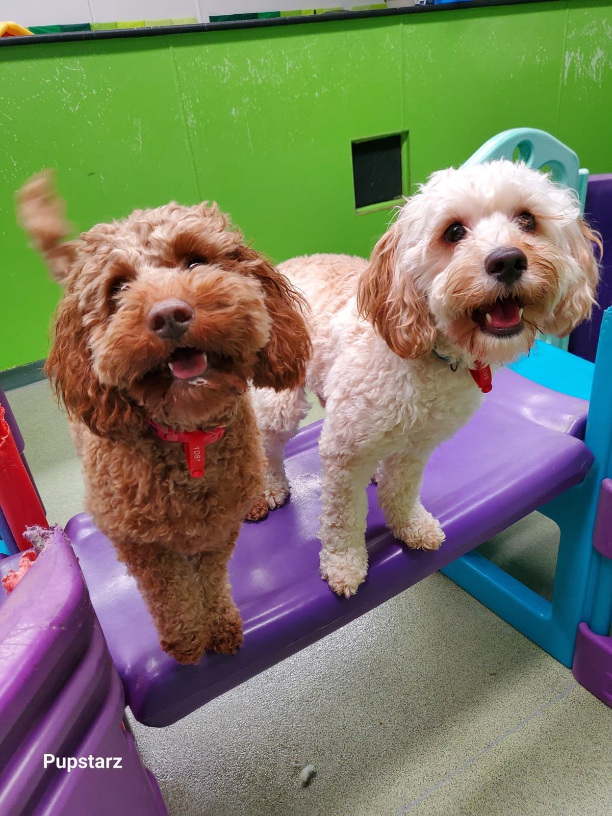 1b117fb0-f40a-450a-90a3-10d5e9d6287b