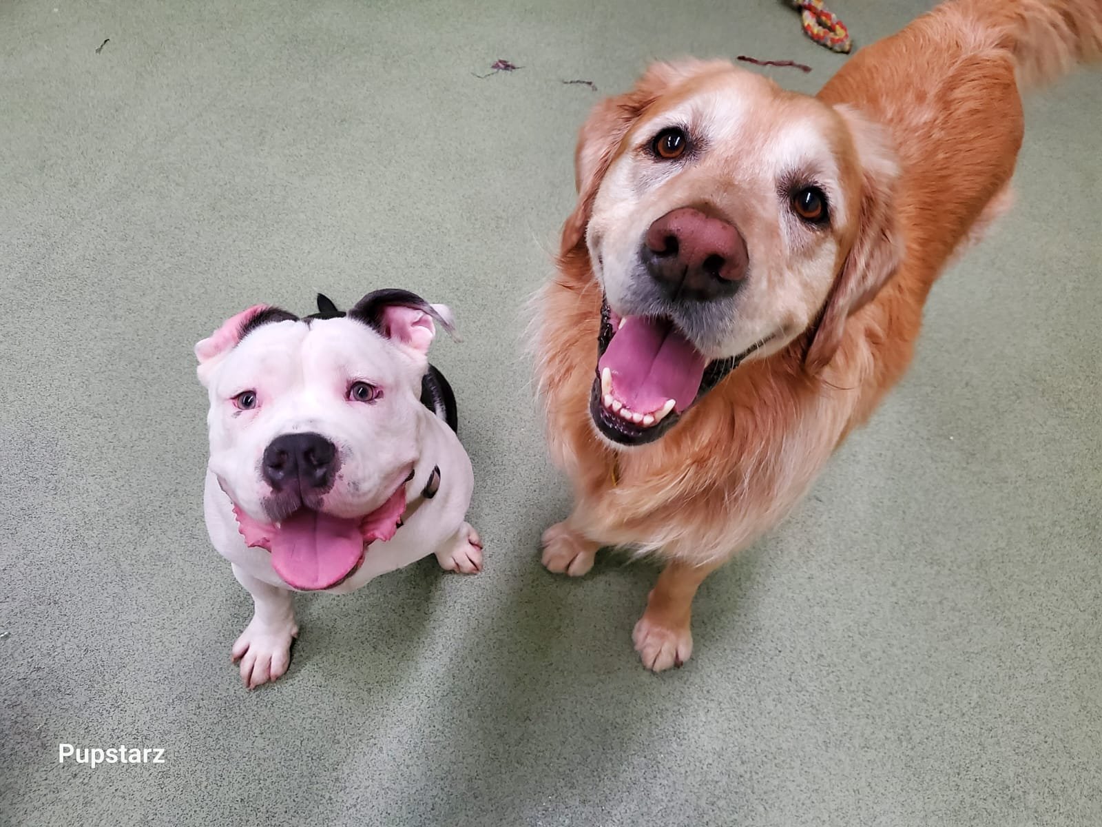 1cc707c0-def9-44cd-8123-e18913974ee3