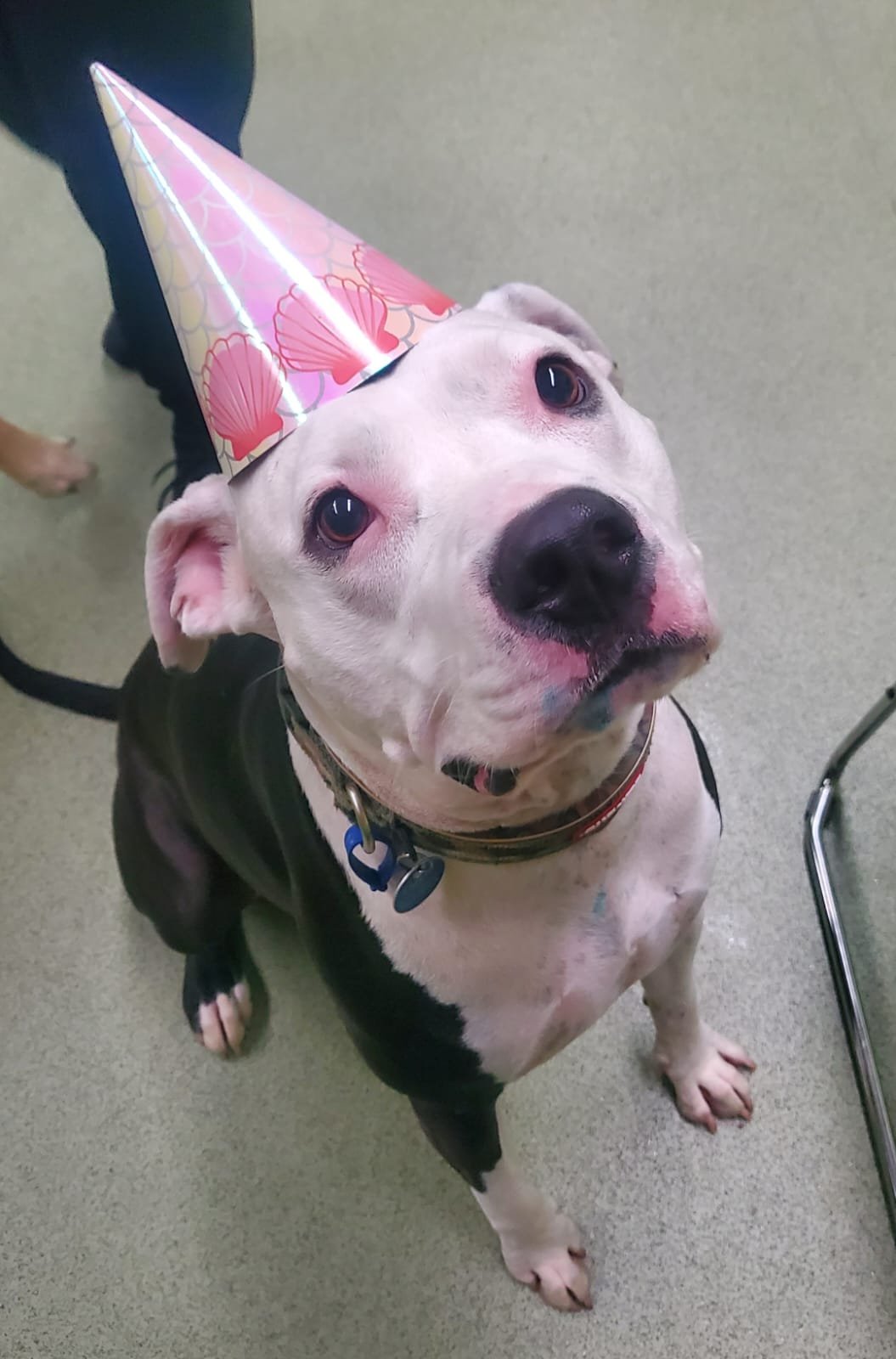 274fc977-92cf-4335-a3a3-00c9767a14c0