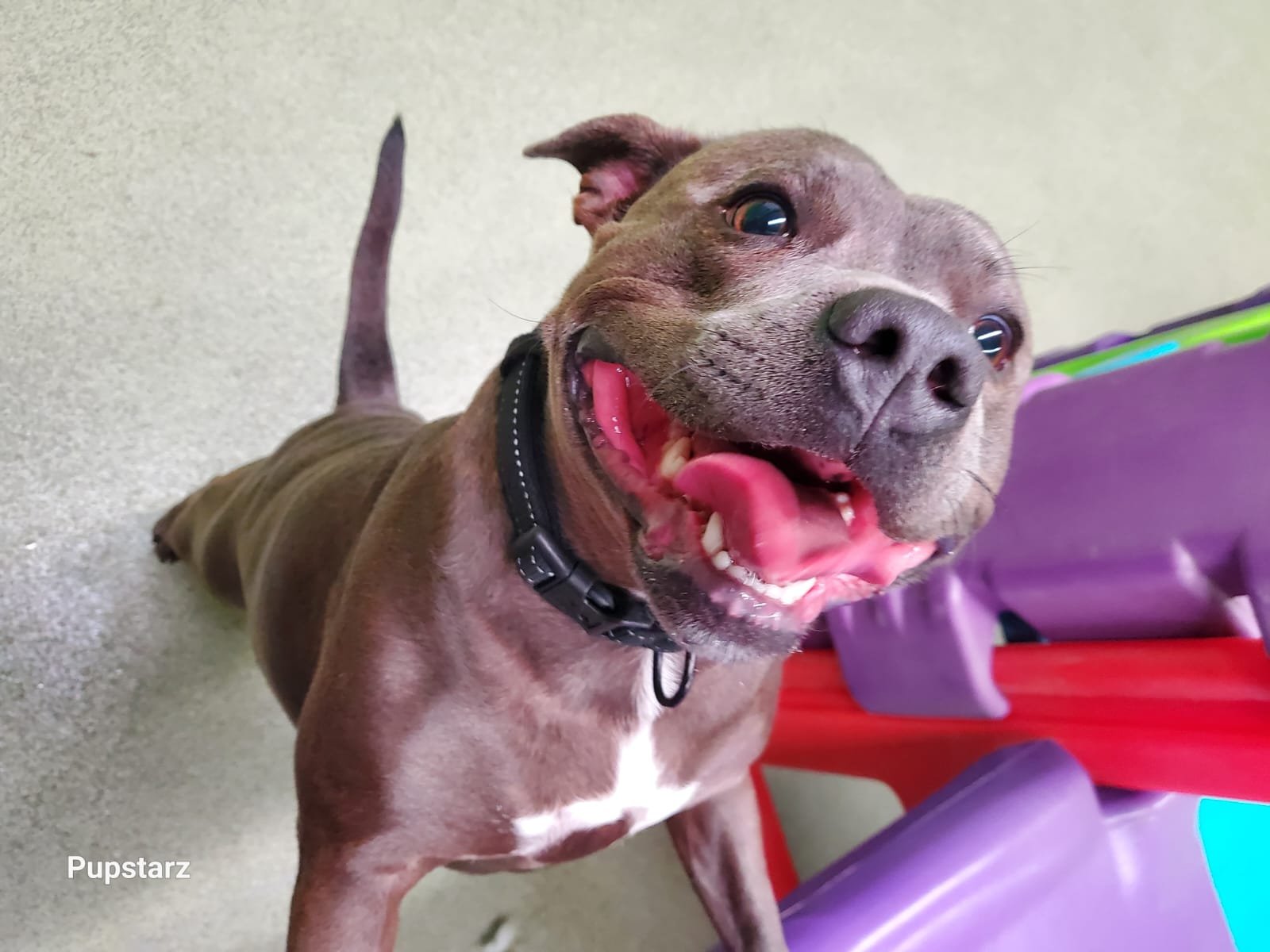 2826e524-86e2-400a-af89-05335509136a