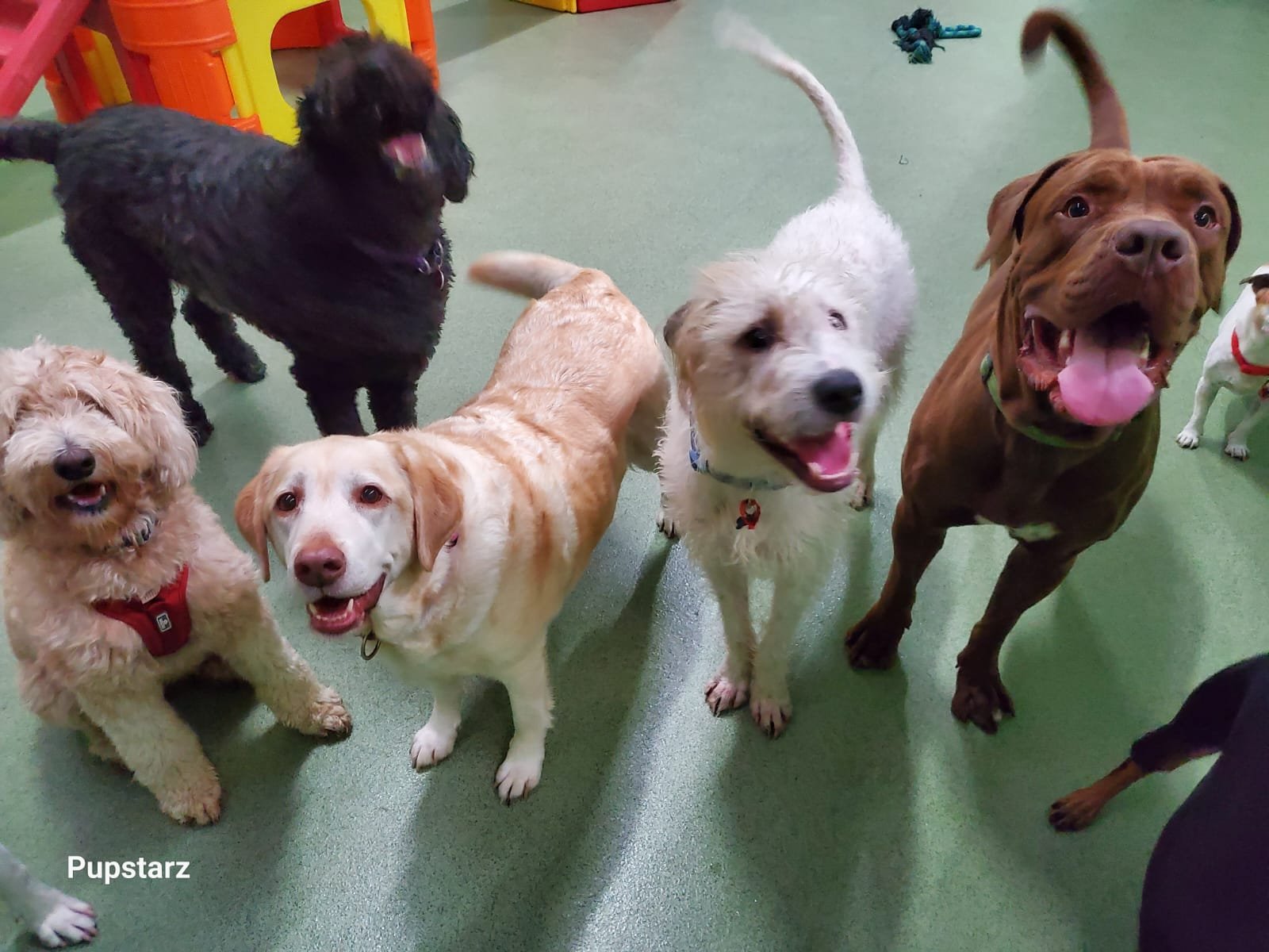 28547135-5fb5-4ace-a145-cc4bf09505e5