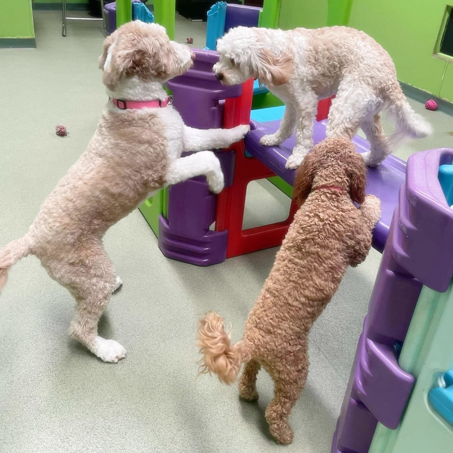 29e19d88-c9bc-47d4-9133-58a114fb0dae