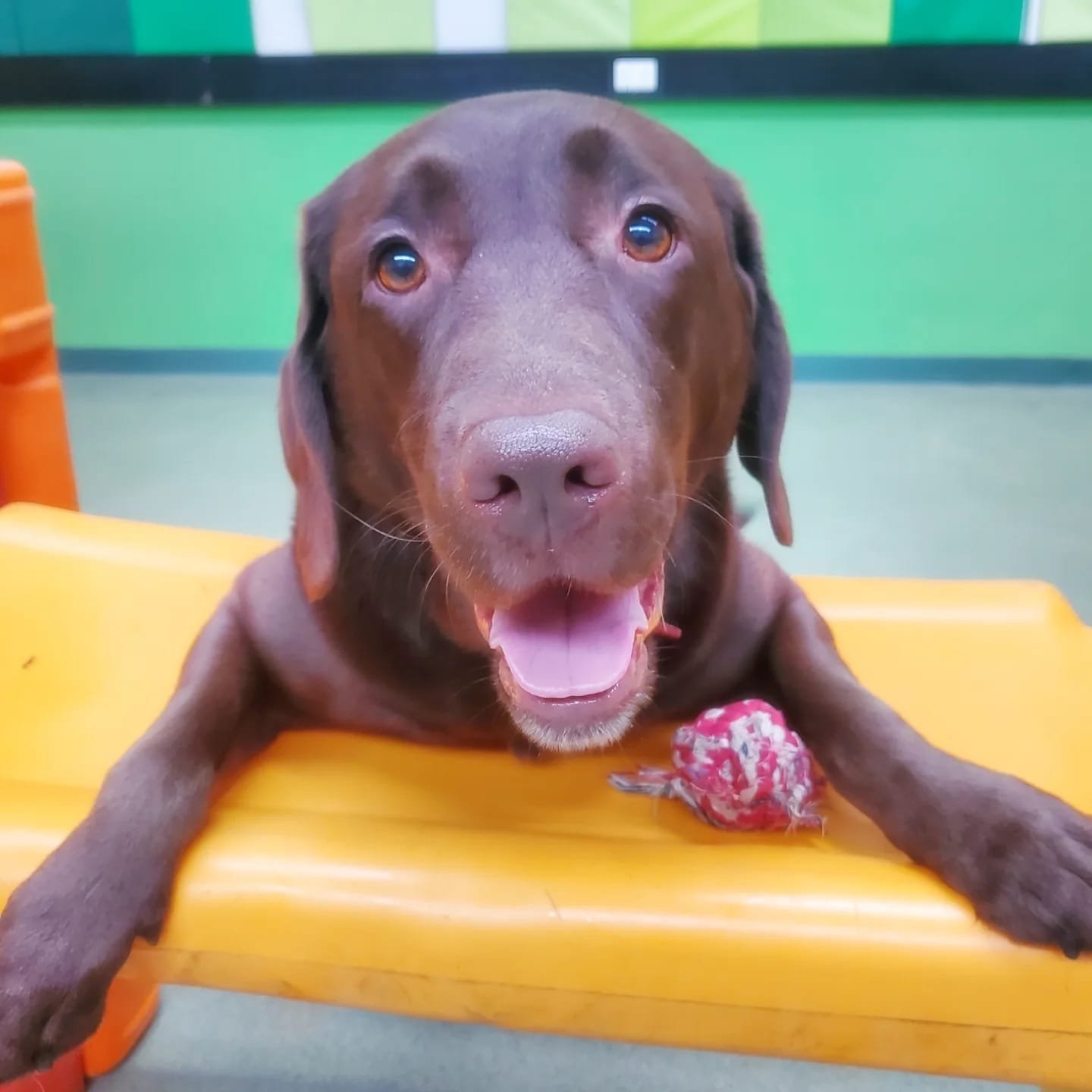 2b8bfa59-584c-4c5a-aa5b-0aa63c674b28