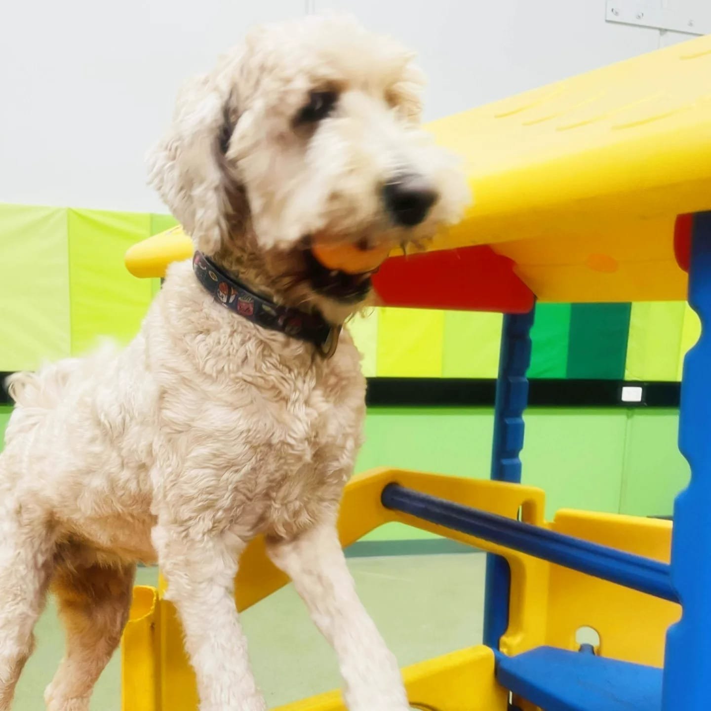 3b3b39cf-494a-492b-8307-4562e8a11a54