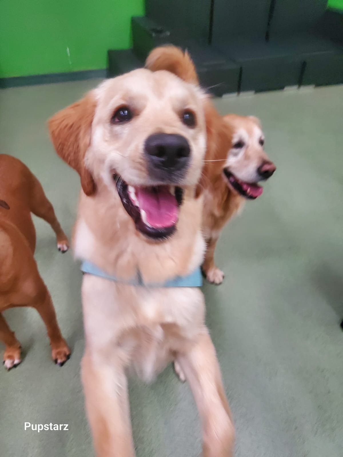 3b848ccd-578a-4525-8ef6-2243cd27b214