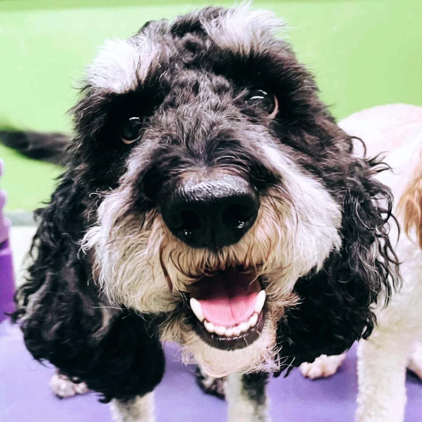 3feb4689-4b6a-4f79-88f6-a4e85ba0477c