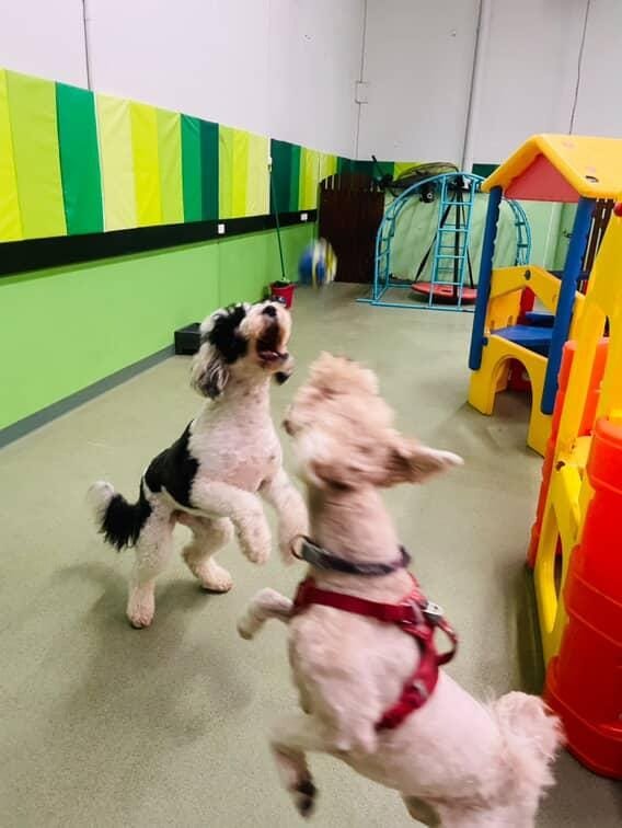 479f9dd8-f45e-40dc-bb3d-a7fc64c194cb