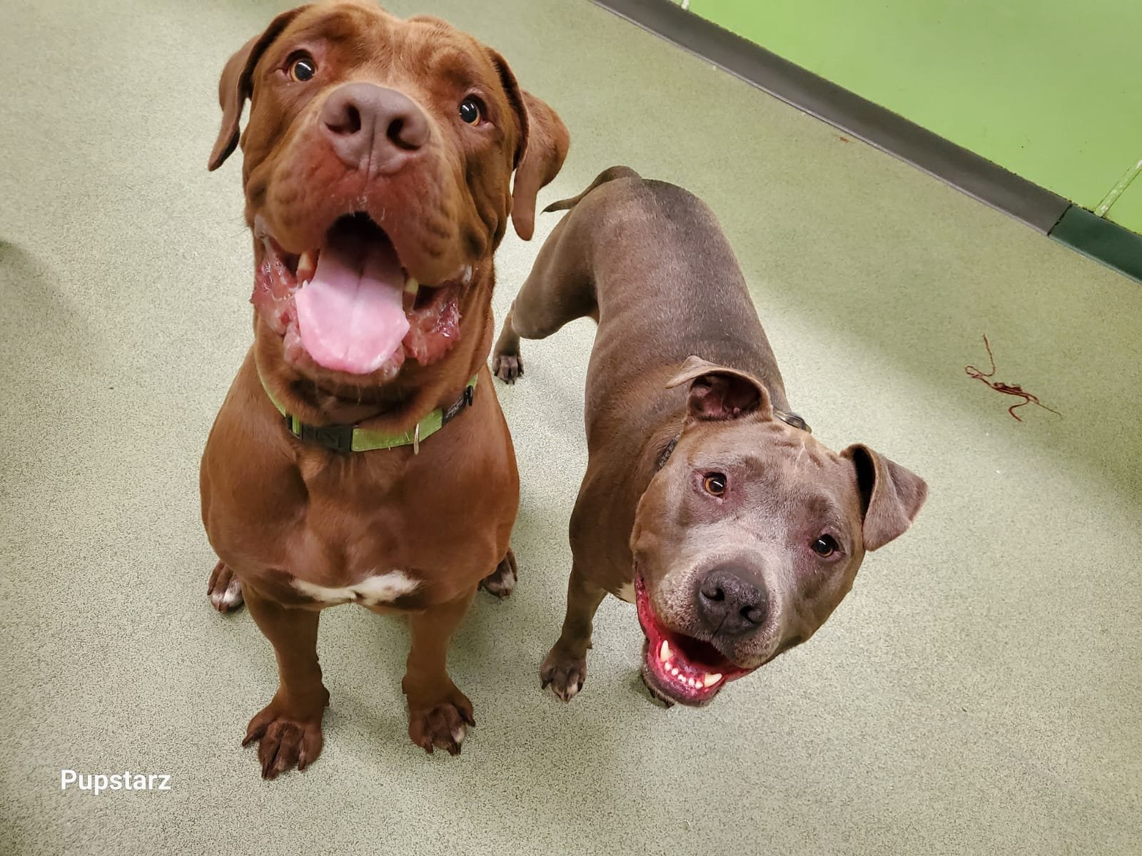 485daf49-07e3-4ec1-a043-f87aaf2cee72 (1)