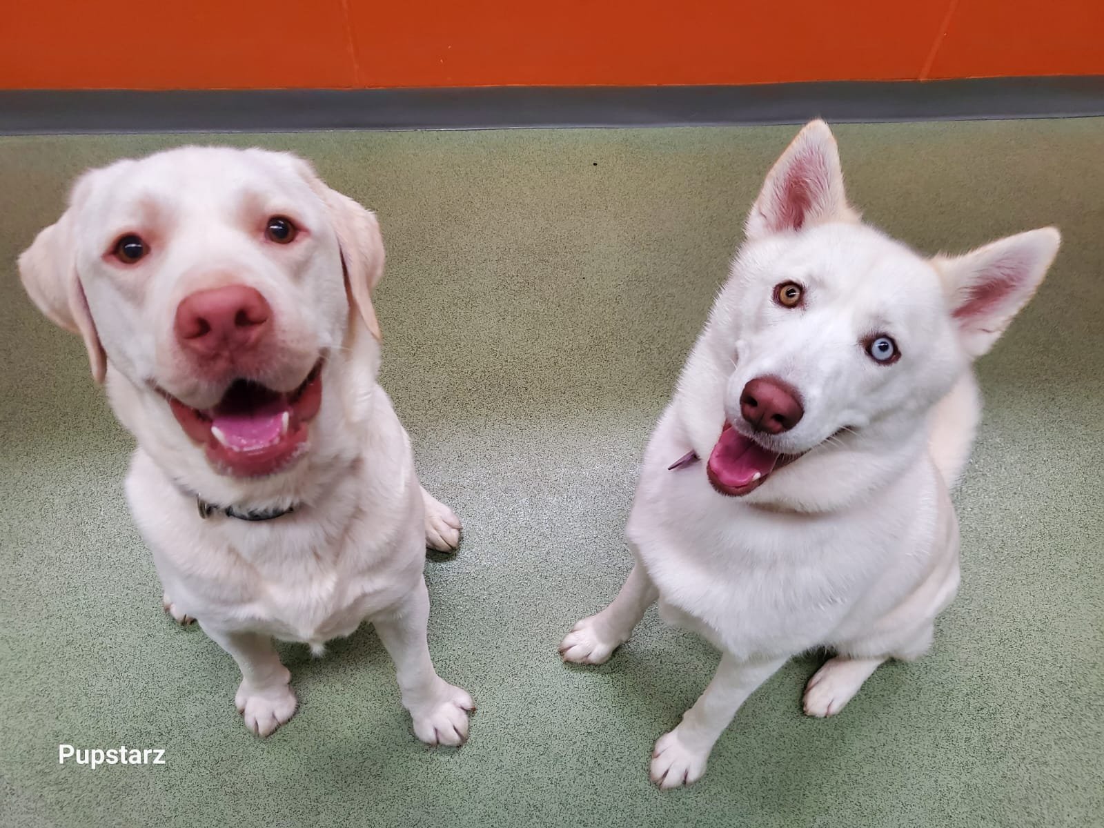 4f79028d-bf8d-4687-baa7-326ad419e12d