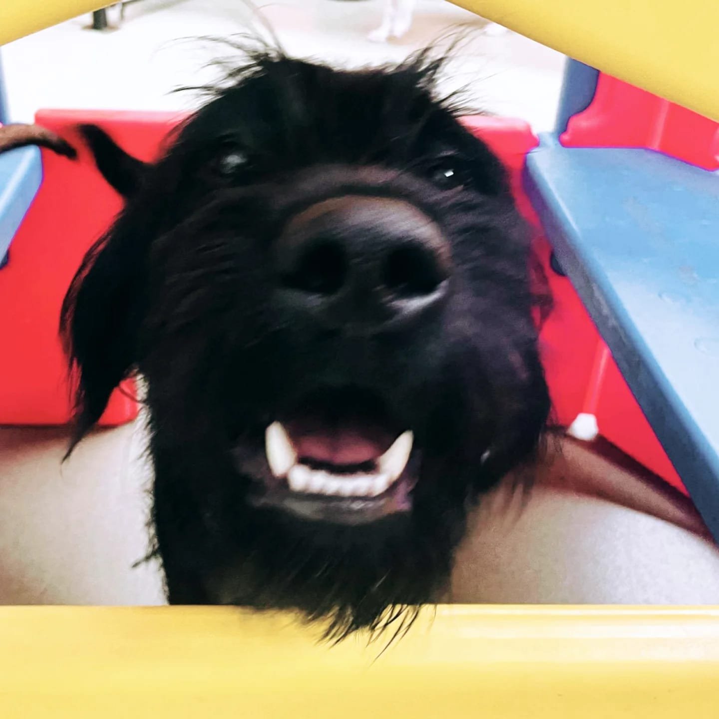 531a2a0a-47ad-4090-8135-189dbb370098