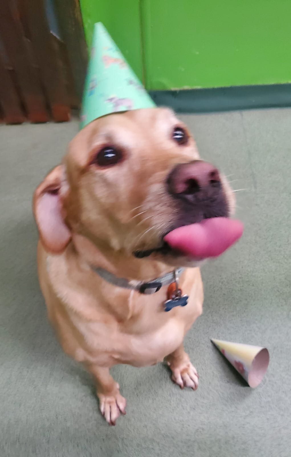 67b81dc5-c6f0-4103-a827-7bcaeae5d2db