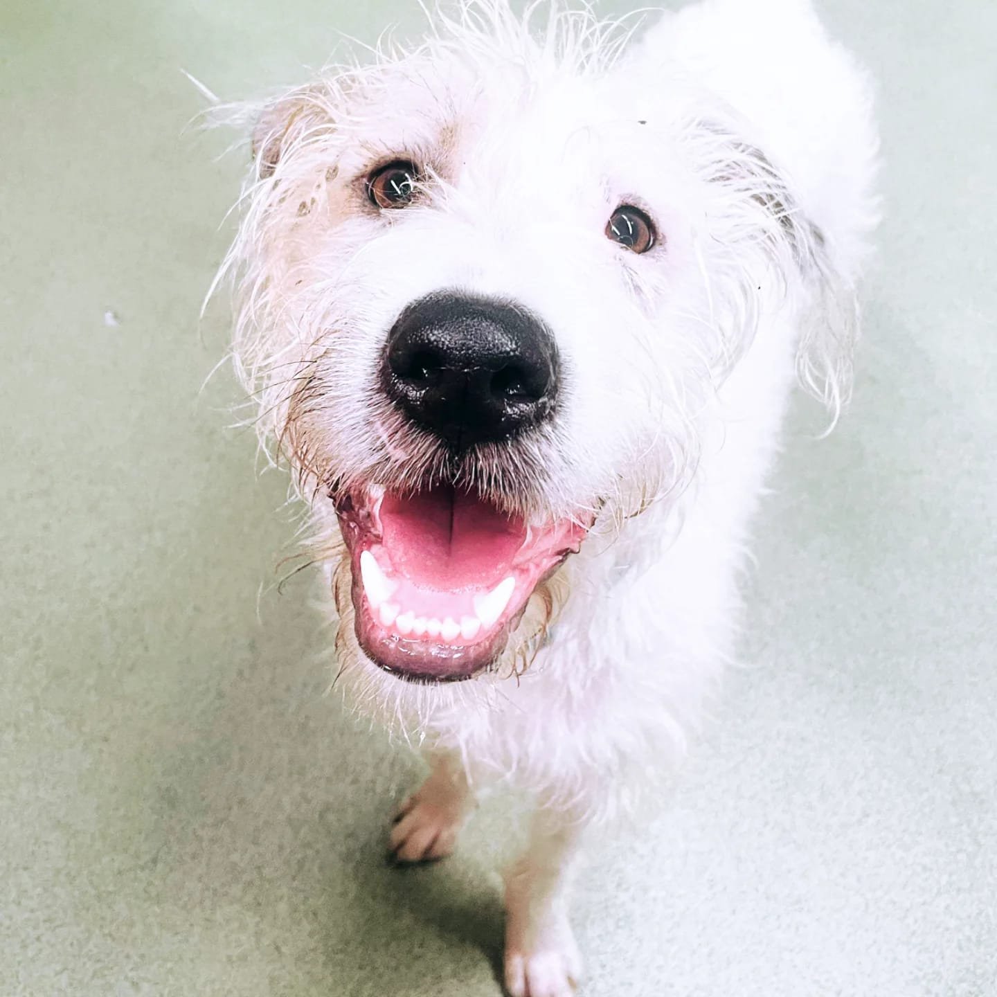 6c8519c8-f60d-4873-909e-9fc9fca1a6d3