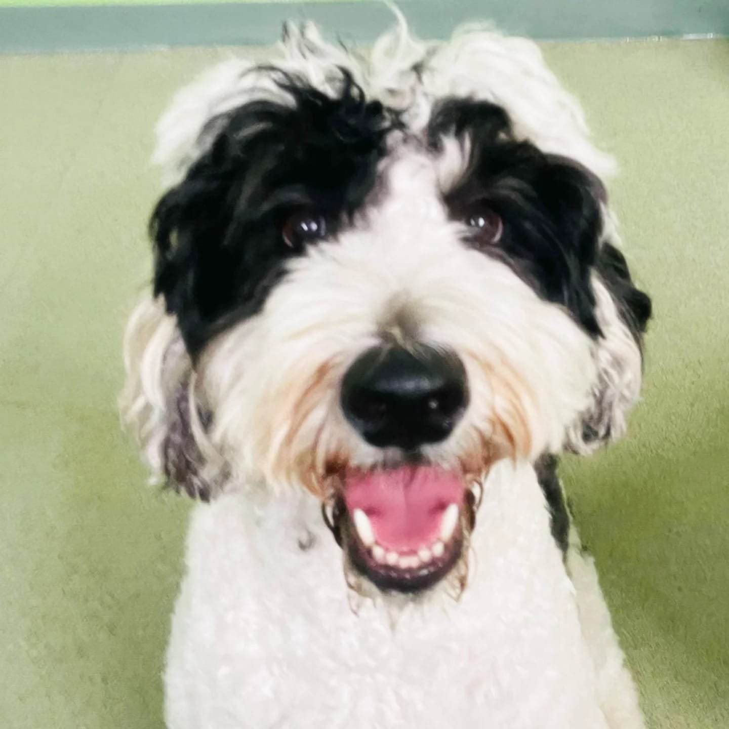 6f52cbf5-303e-480e-bfdf-d22d89fb450c