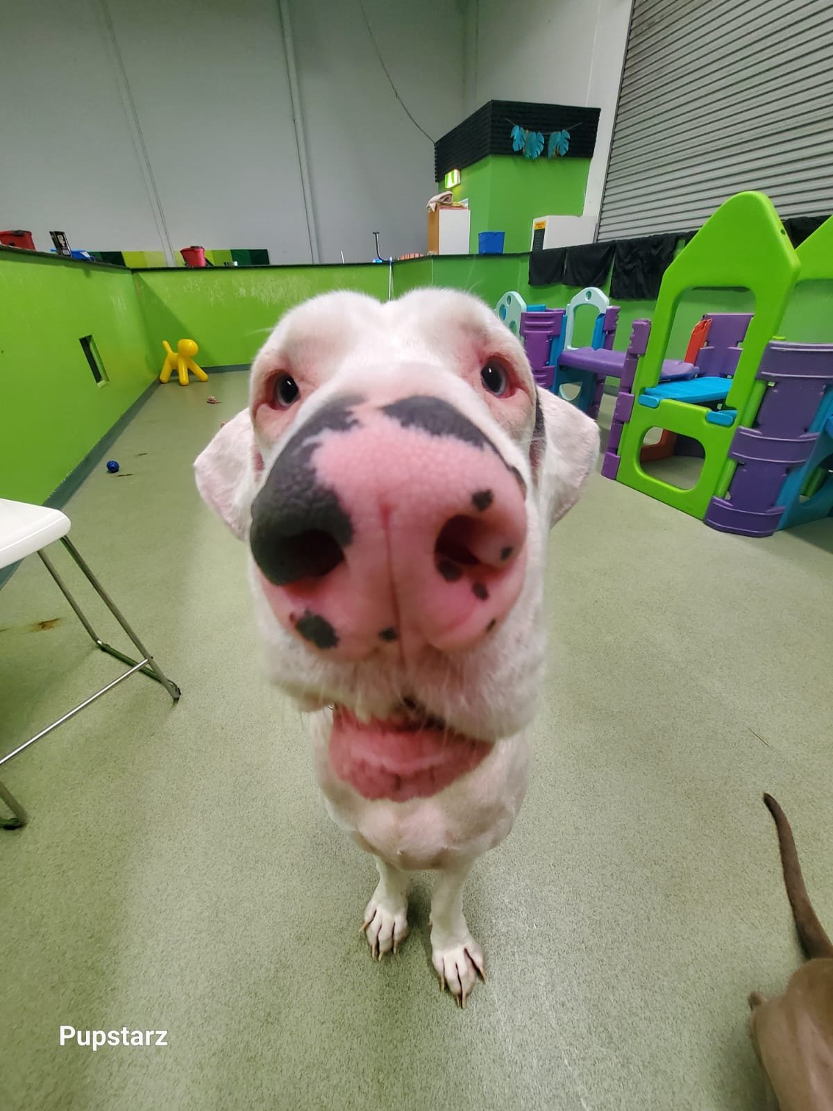 7a569976-5261-43bf-8f6a-a66bd6b0cf38