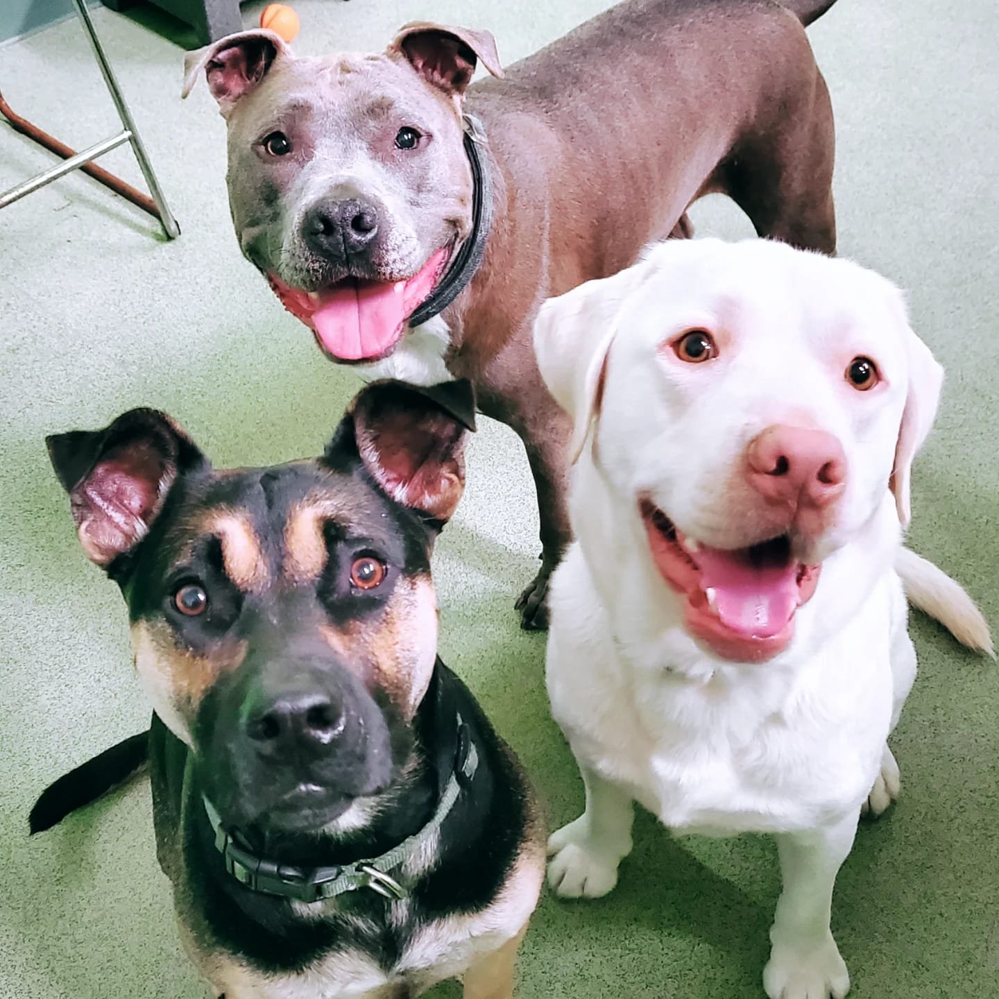 80970dee-4175-4aa7-99f5-a609b22166c0