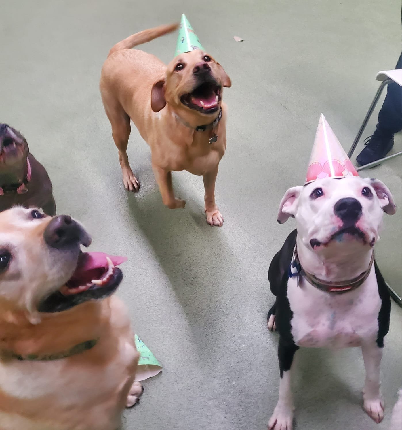 8d34c7e3-d30d-4206-89dc-5f7e29f4d707