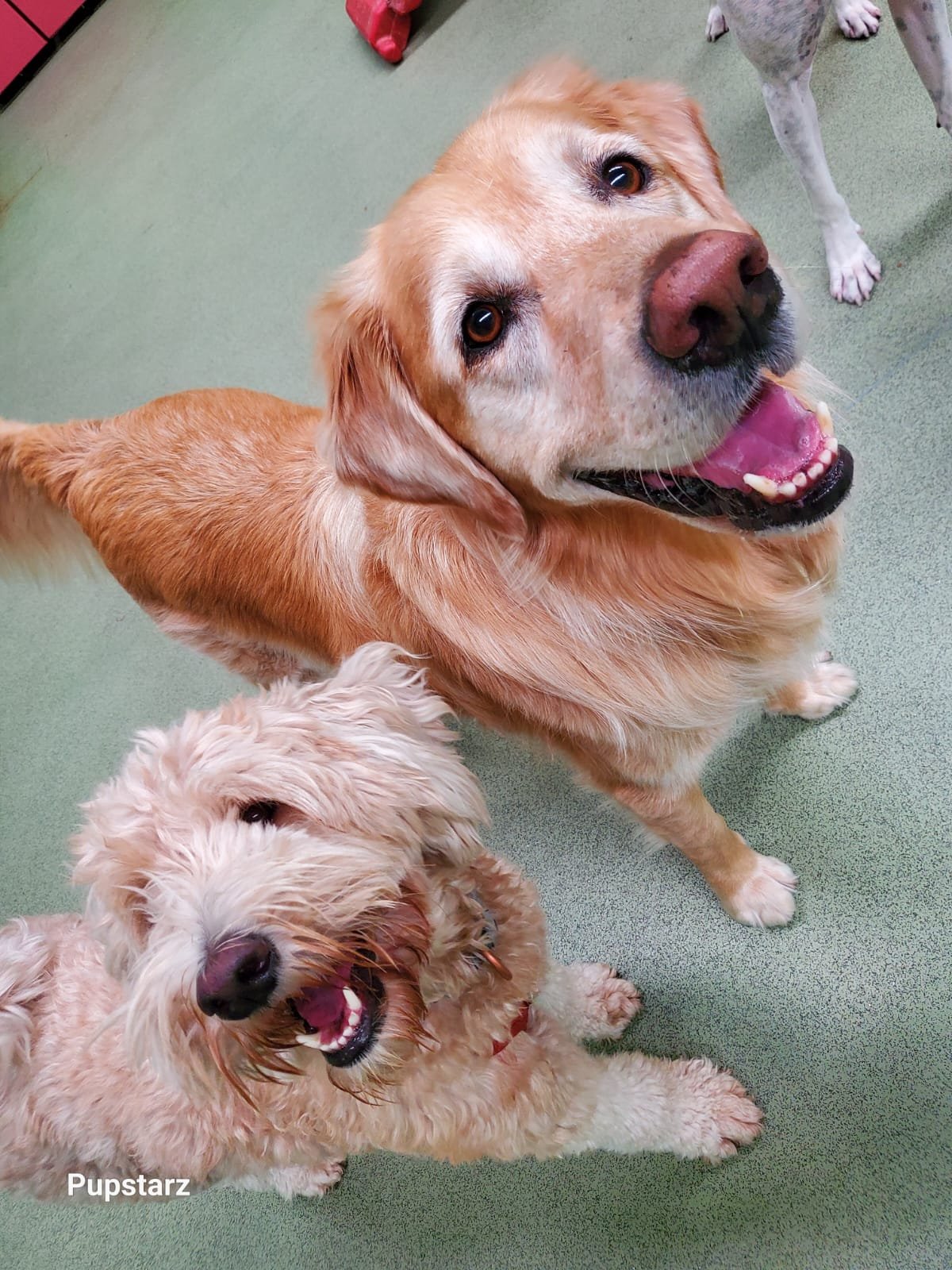 8fd82d01-2202-44ad-abe9-8a69b340c3b8