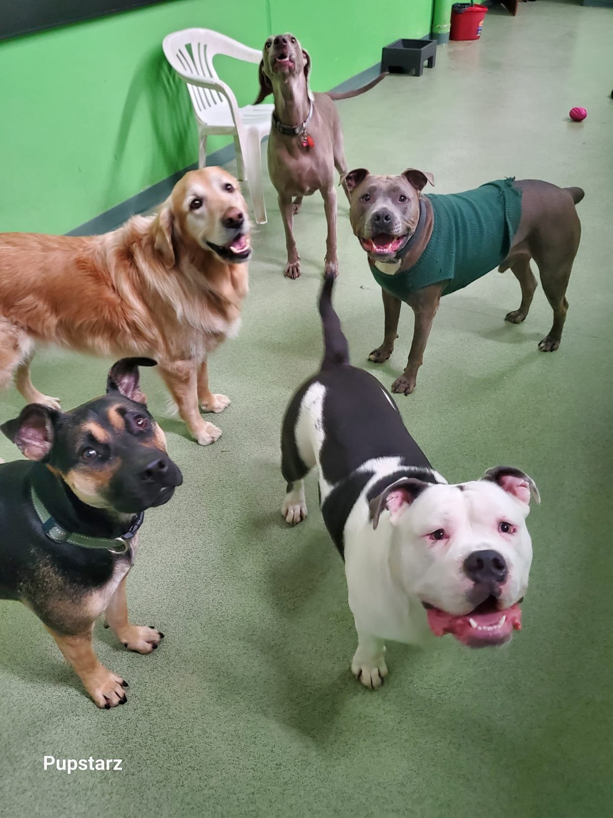 928ca243-806e-4bd3-ae37-0c50e7f492ae