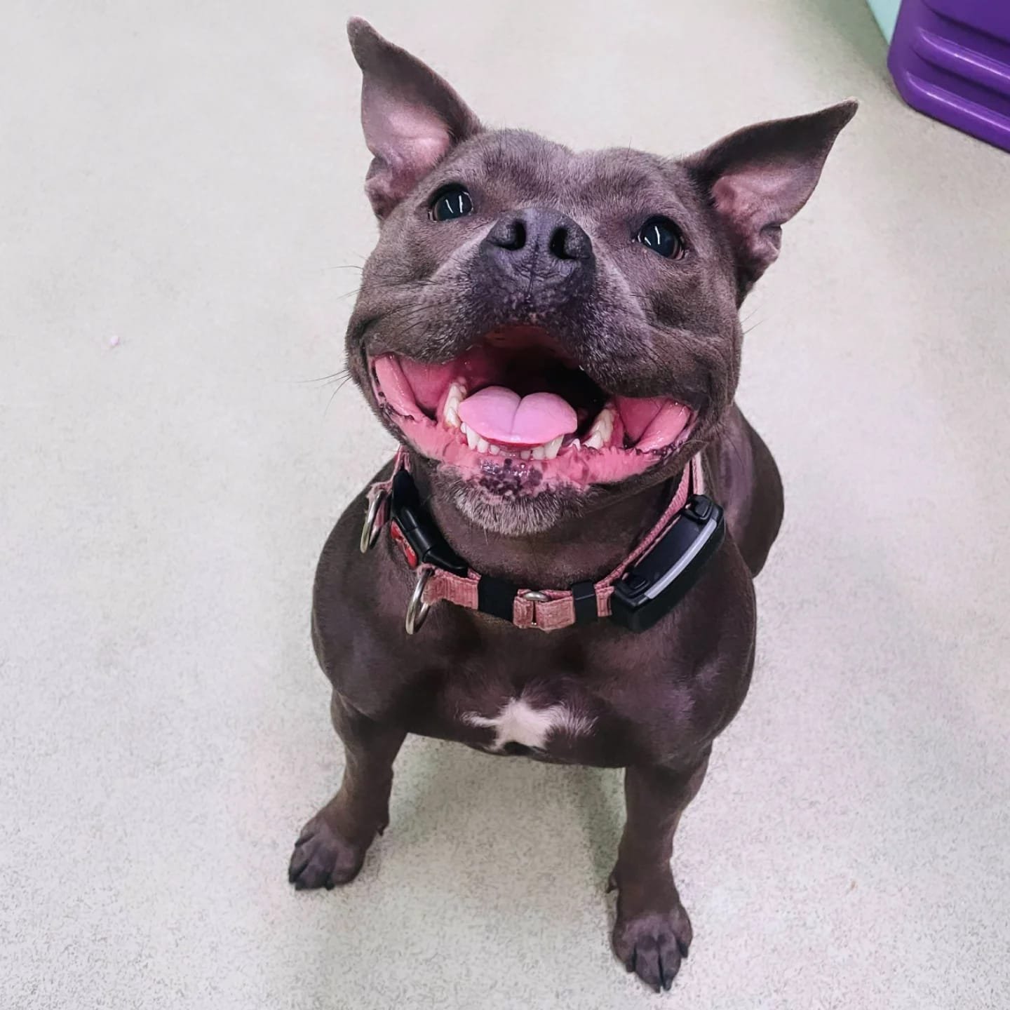 96437fea-5abe-47fd-a267-a69b19bc5721