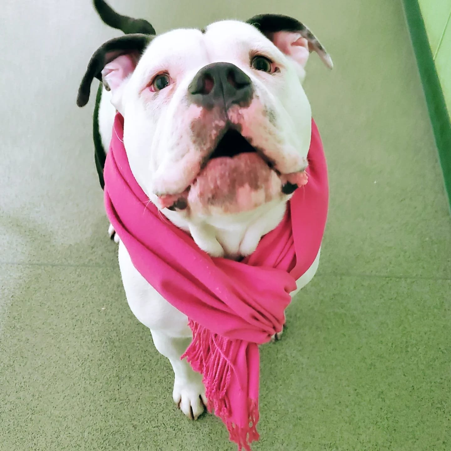 9b285f0a-ac81-467f-90f8-8d1f10ca0d93