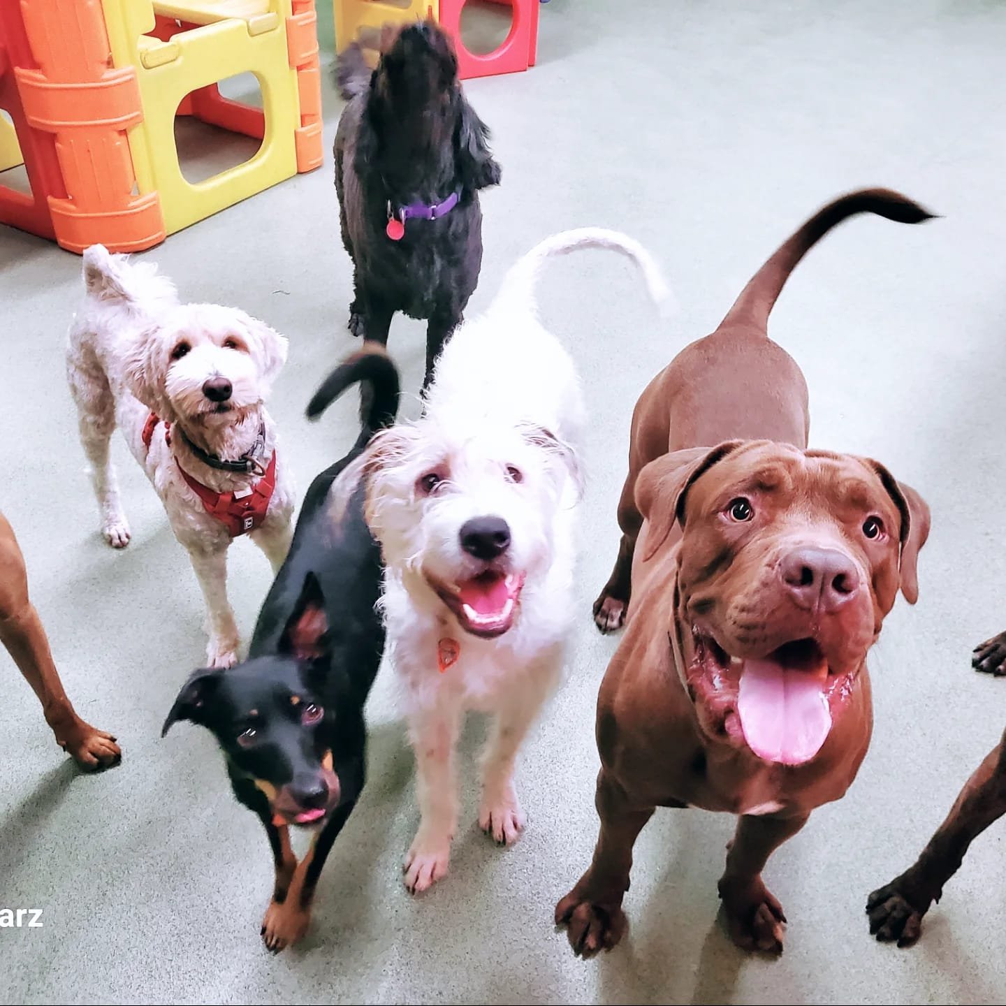 9ef994e5-c7c8-4538-9669-e6b6a56d08e8