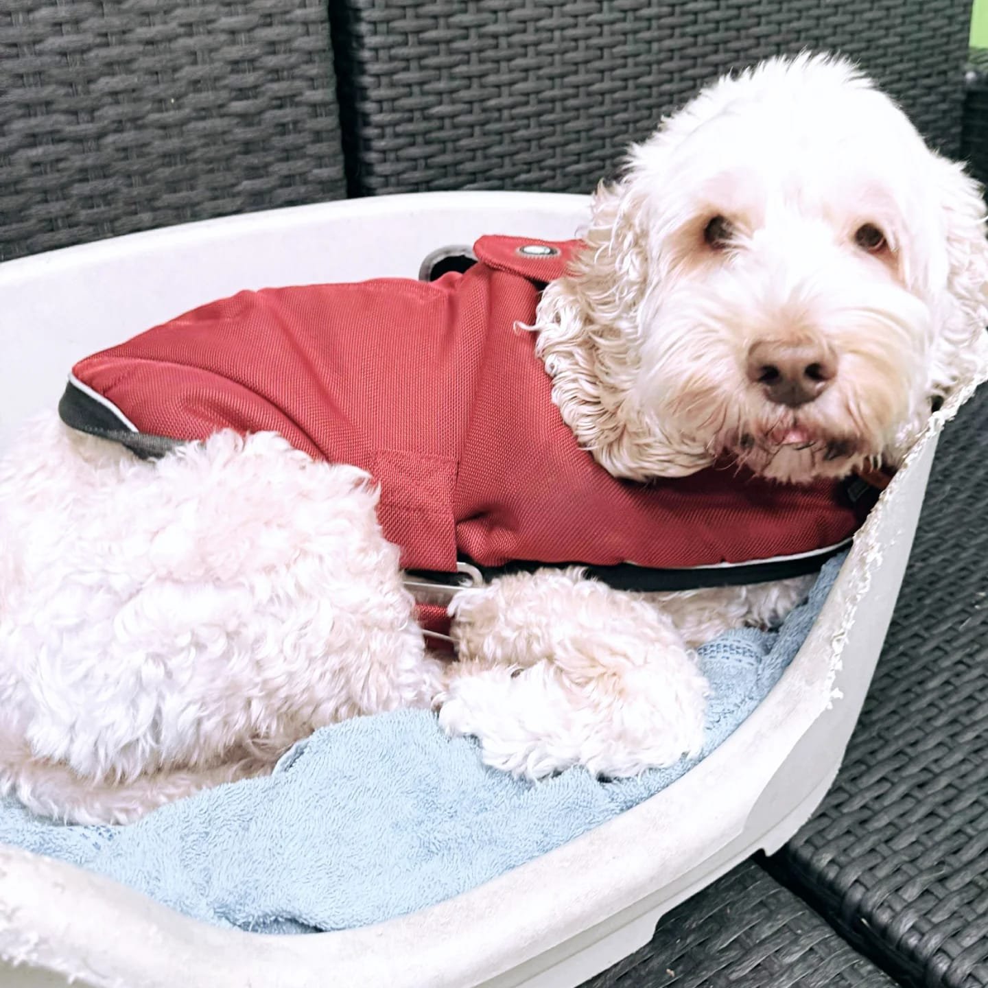 b02ce41d-e21a-4577-a46e-403ceb3ff1a9