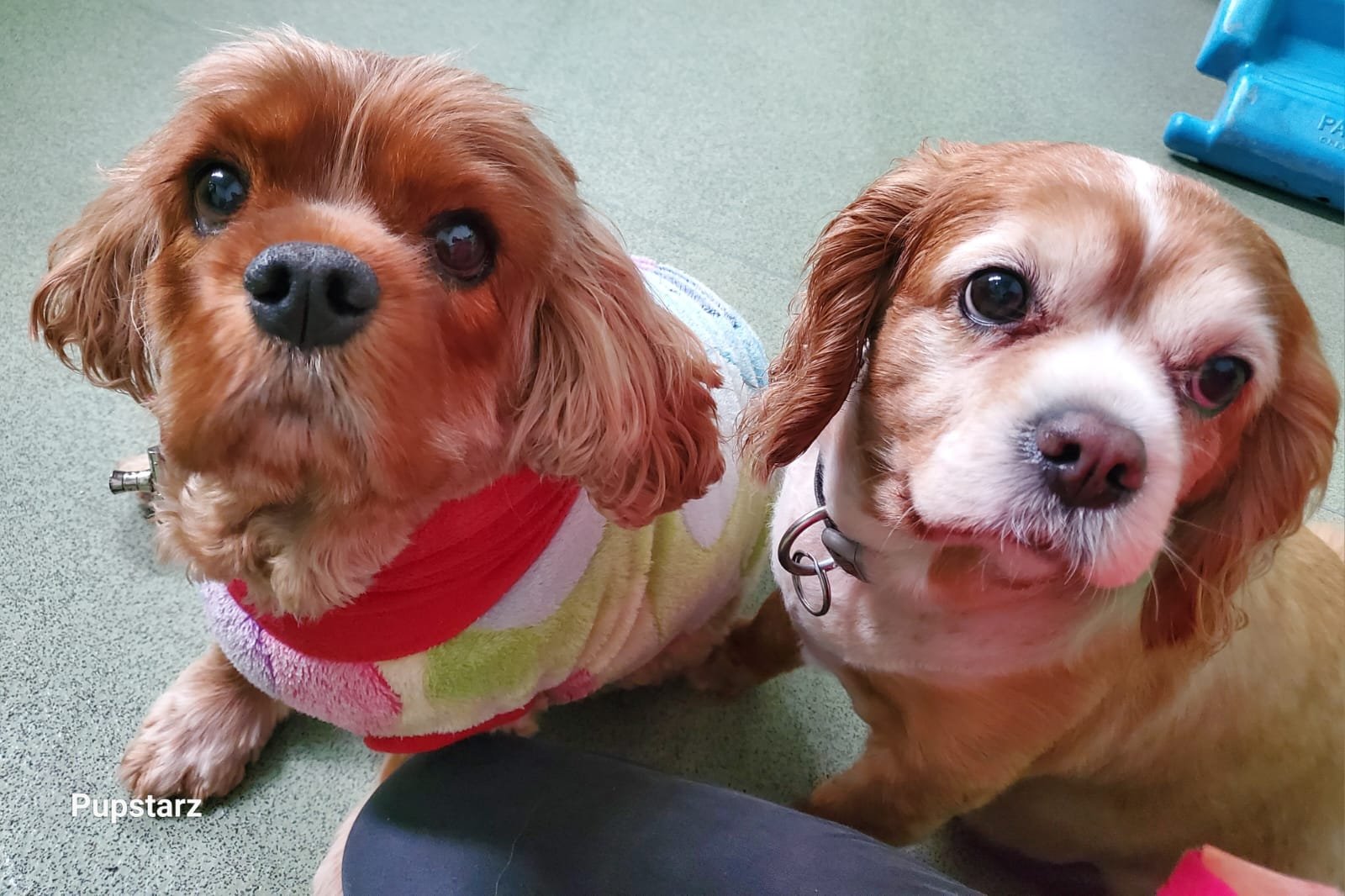 b49d022d-27f1-442a-b658-ac83de3860aa