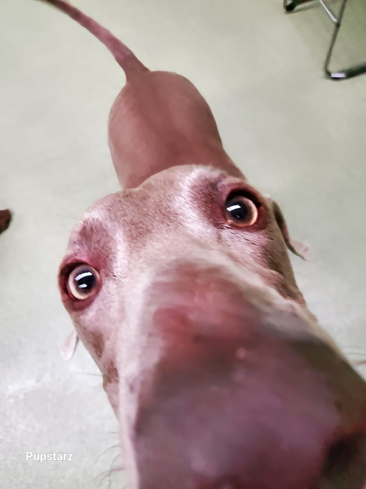 b914b3ad-62e5-4494-be27-95558ce7a238