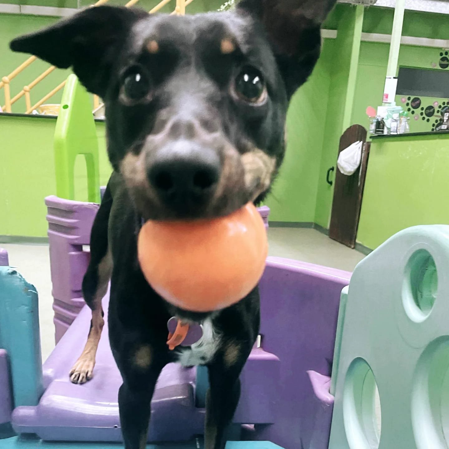 c2dc3419-9721-449f-ad46-14f2e98dfc25