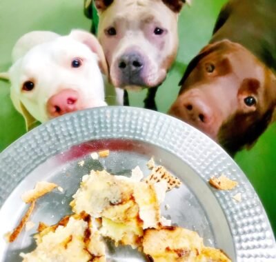 c6cd4349-c623-4794-8f44-10bad4a91211