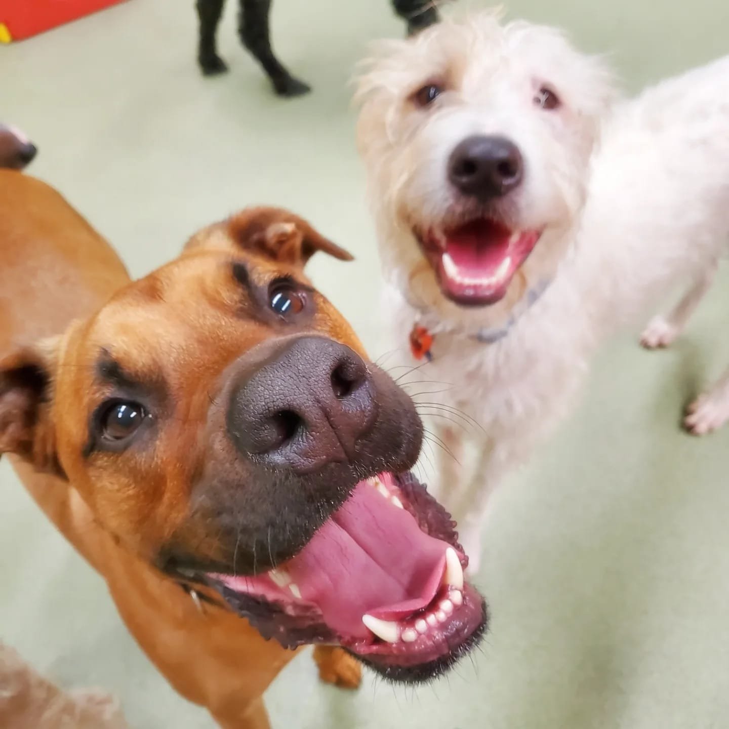 cf3509ea-134b-47a3-b293-bb750be45294