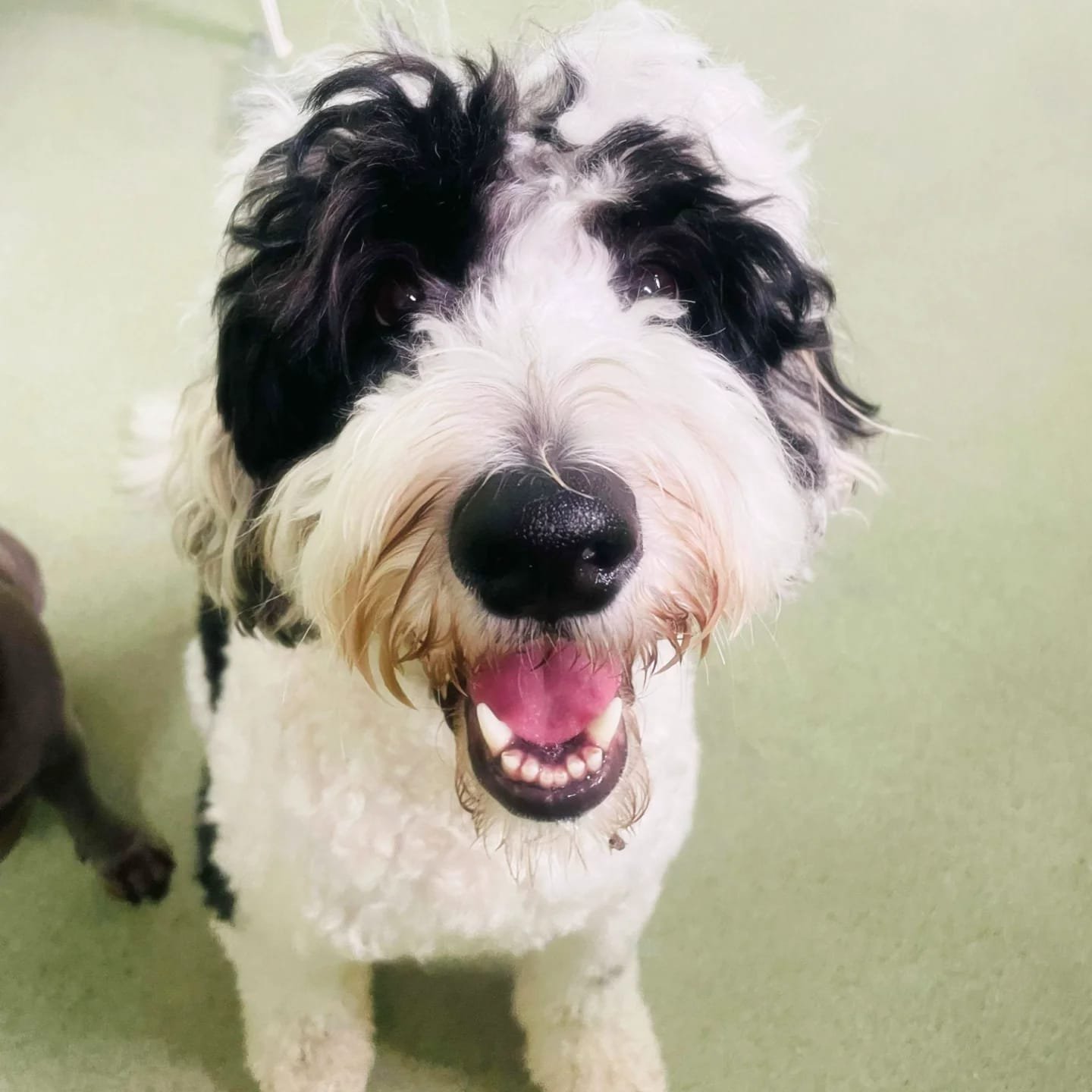 d3f666f9-8f59-4831-898e-7f7c0a92c849