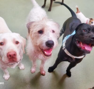 d5e059e5-825d-4805-9ddc-af2a58da03ff