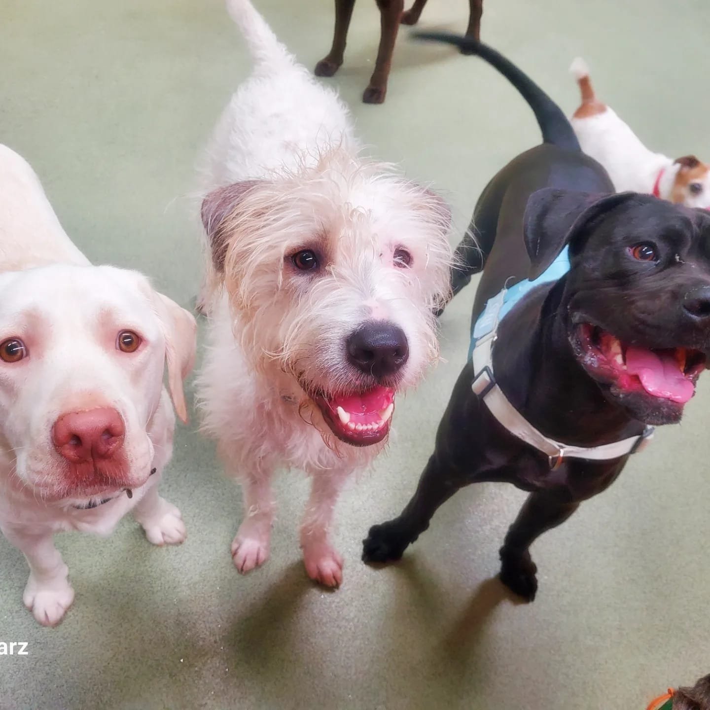 d5e059e5-825d-4805-9ddc-af2a58da03ff