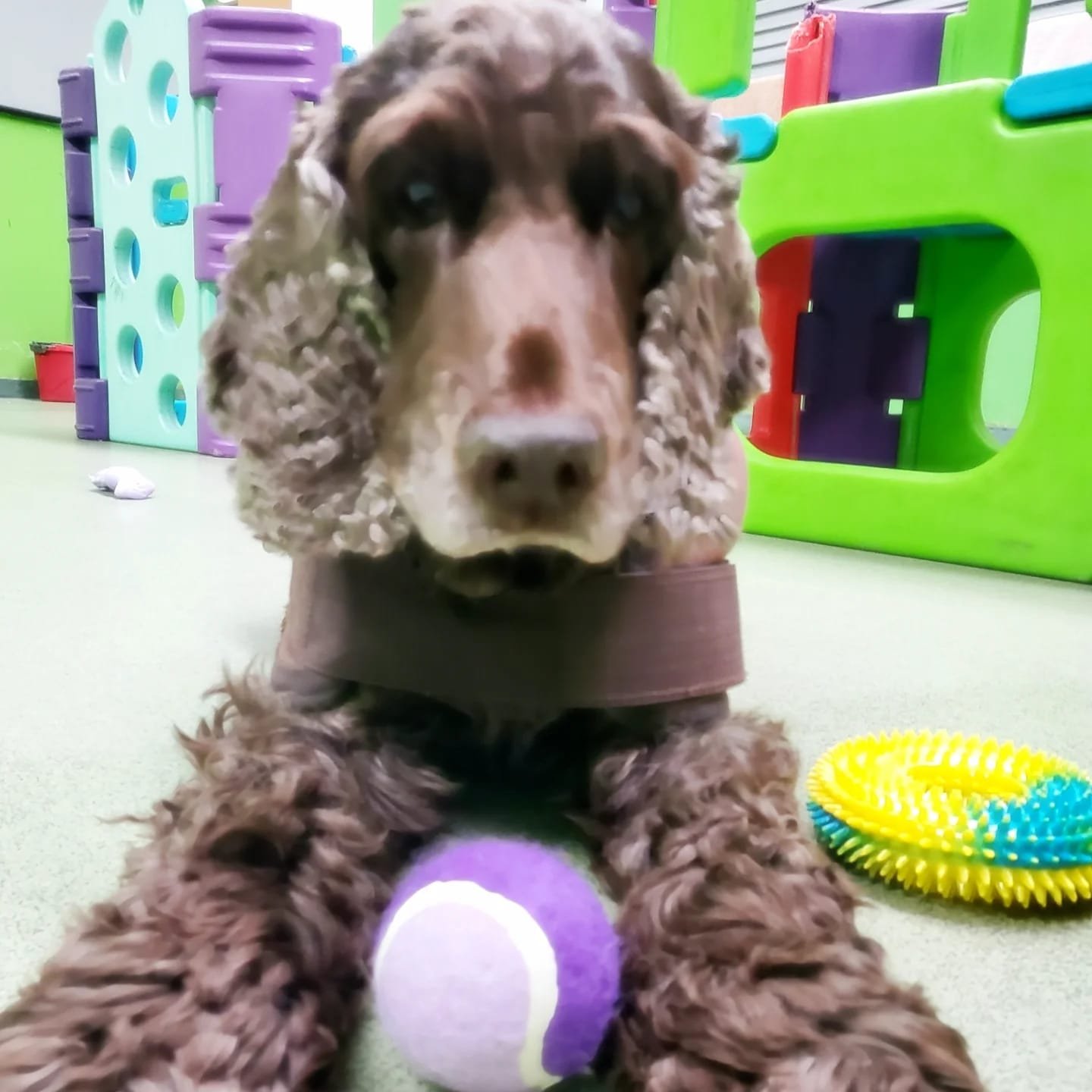 d6cdcd04-2a03-47b1-a53e-24d53ad24139