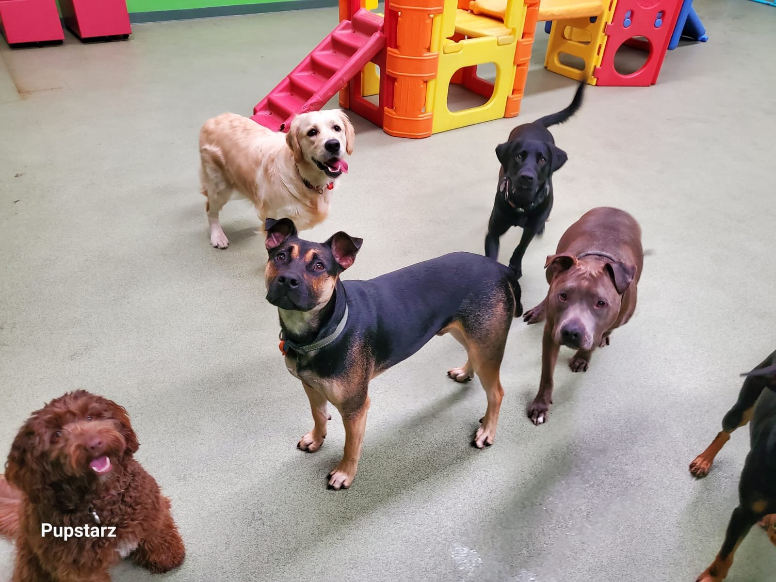 d7fa2727-b3b8-4059-aba6-e7c9b70072f7