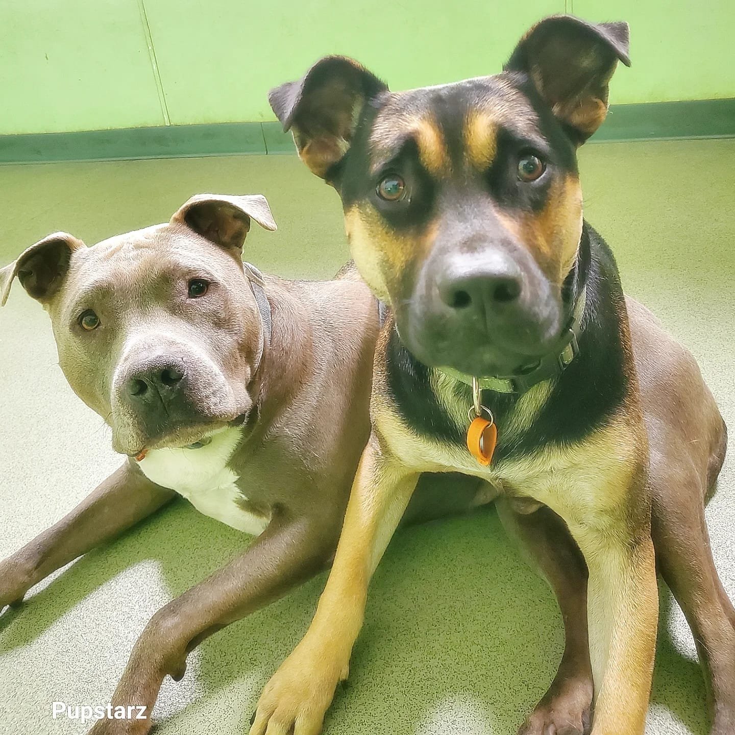 d82a078e-46bd-4fff-a45f-e4548006334b