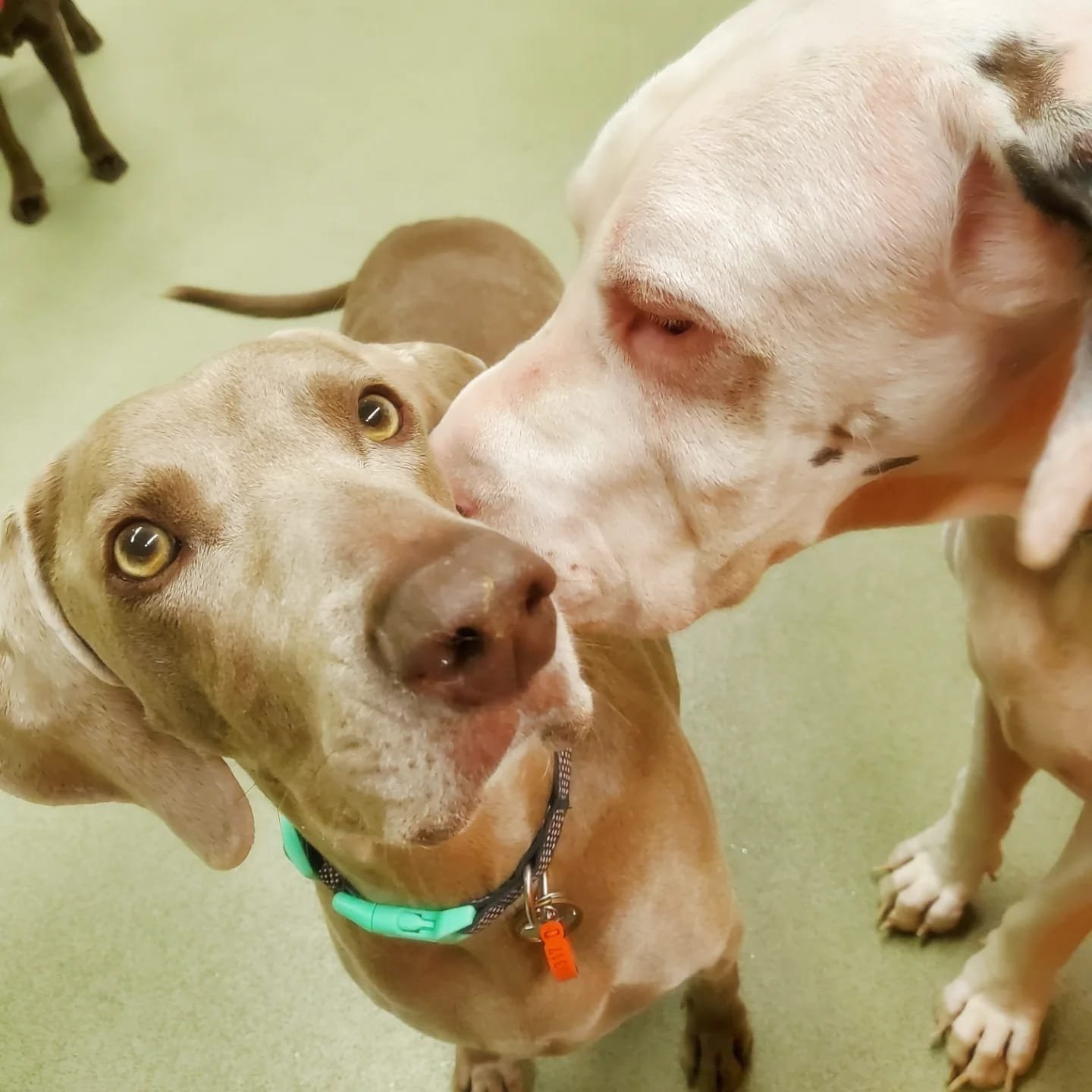 dd2c6f51-ee27-44e0-8f56-34ad652ebbe8