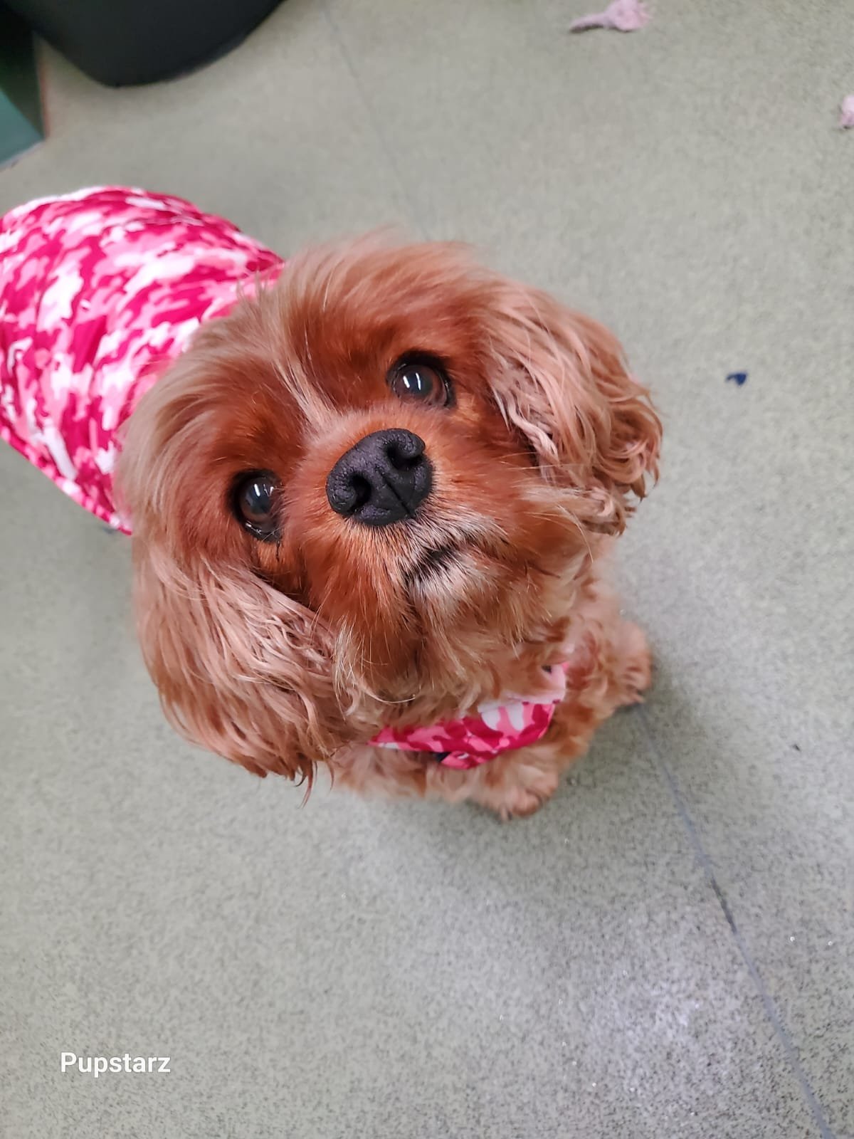 e04b555b-5aa7-4dda-9094-83ad5da016e4