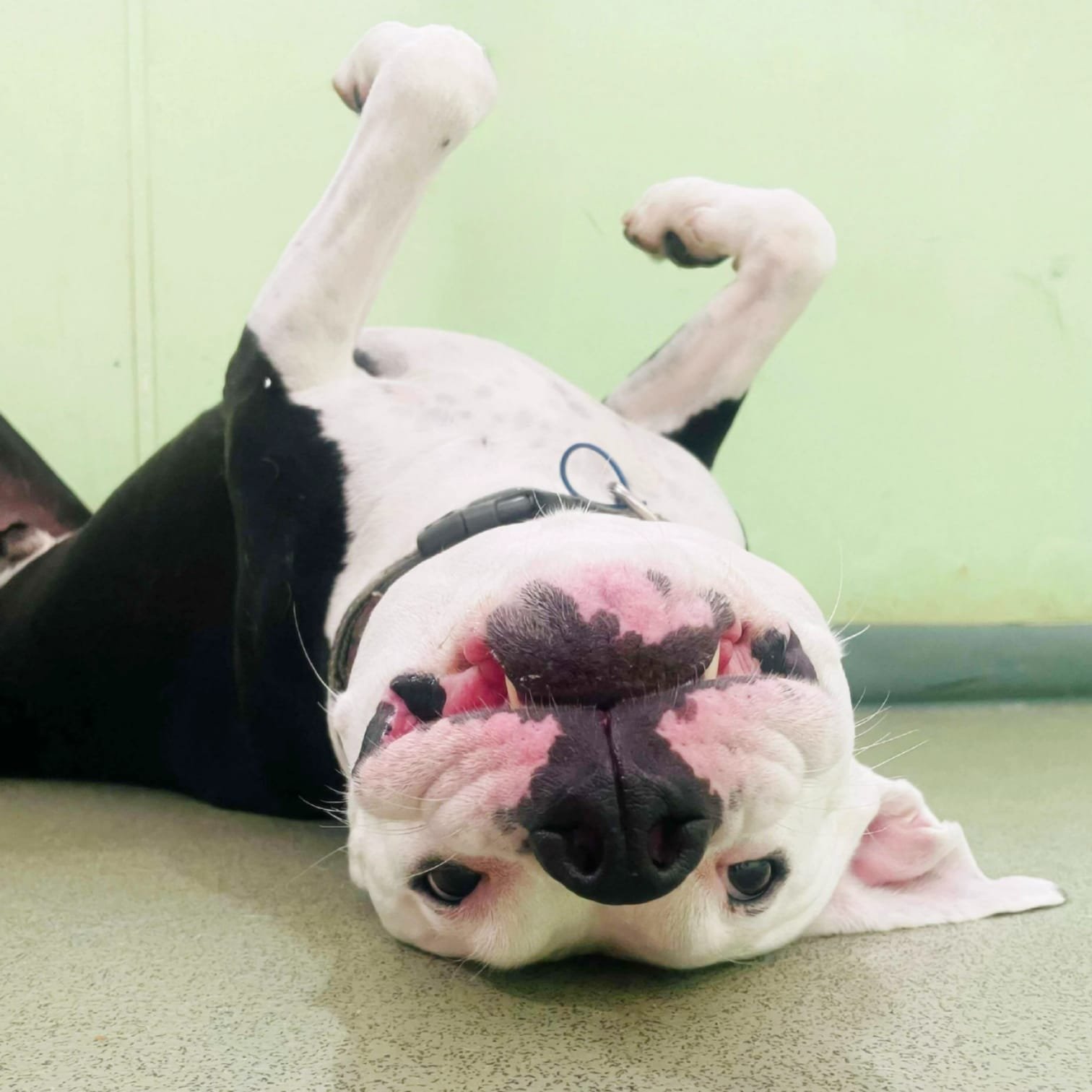 e9a3e7ad-53c1-4845-90a9-b18700effee7