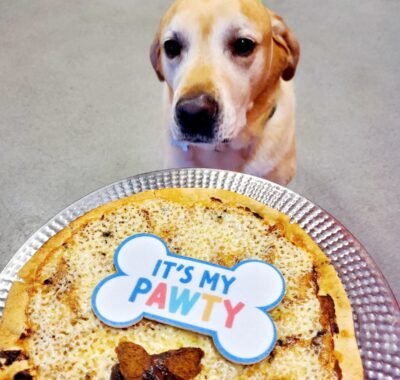 ea49edde-5e9f-4386-ab3e-64db7a702816