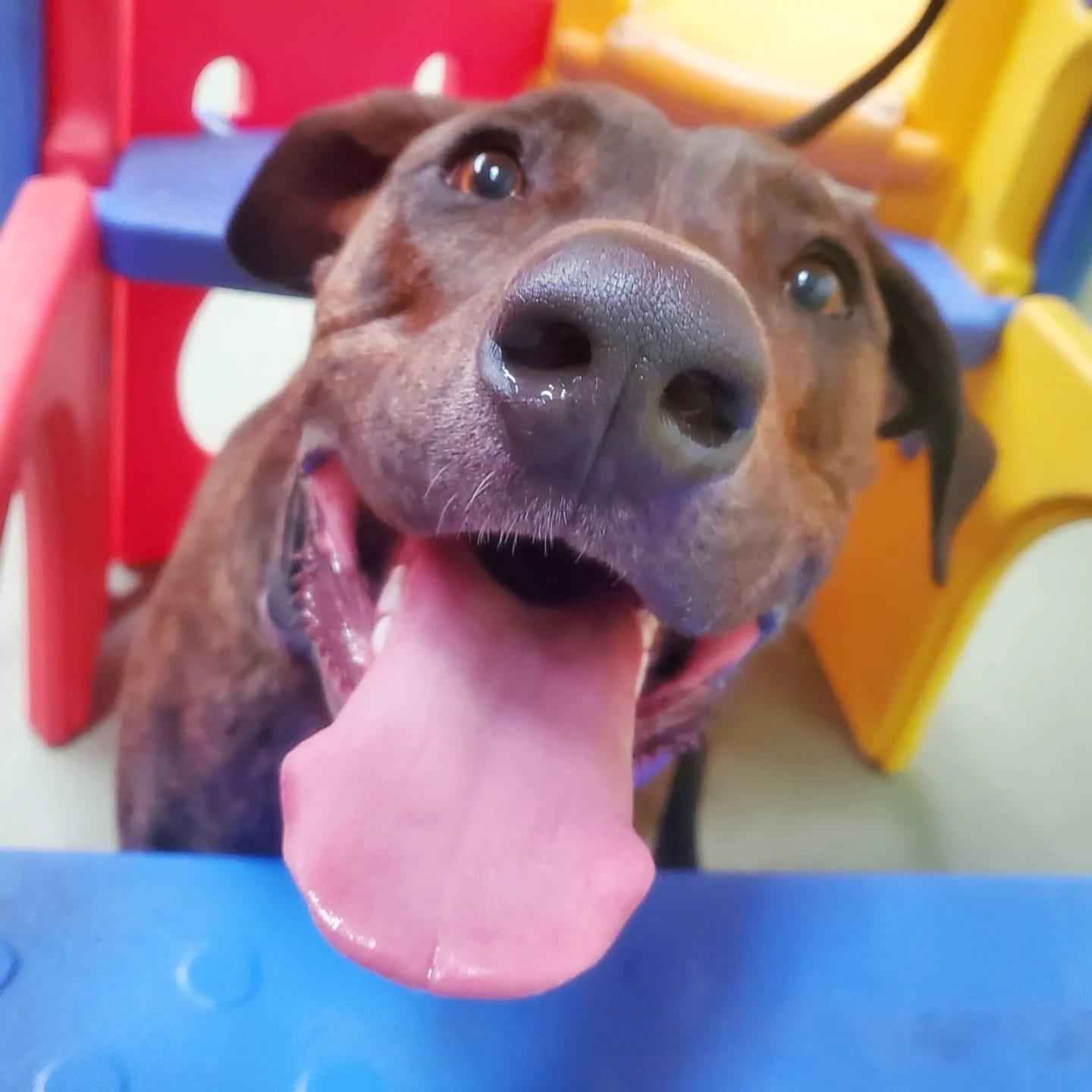 f152fe76-1c47-44ef-a49a-697e92f546d8