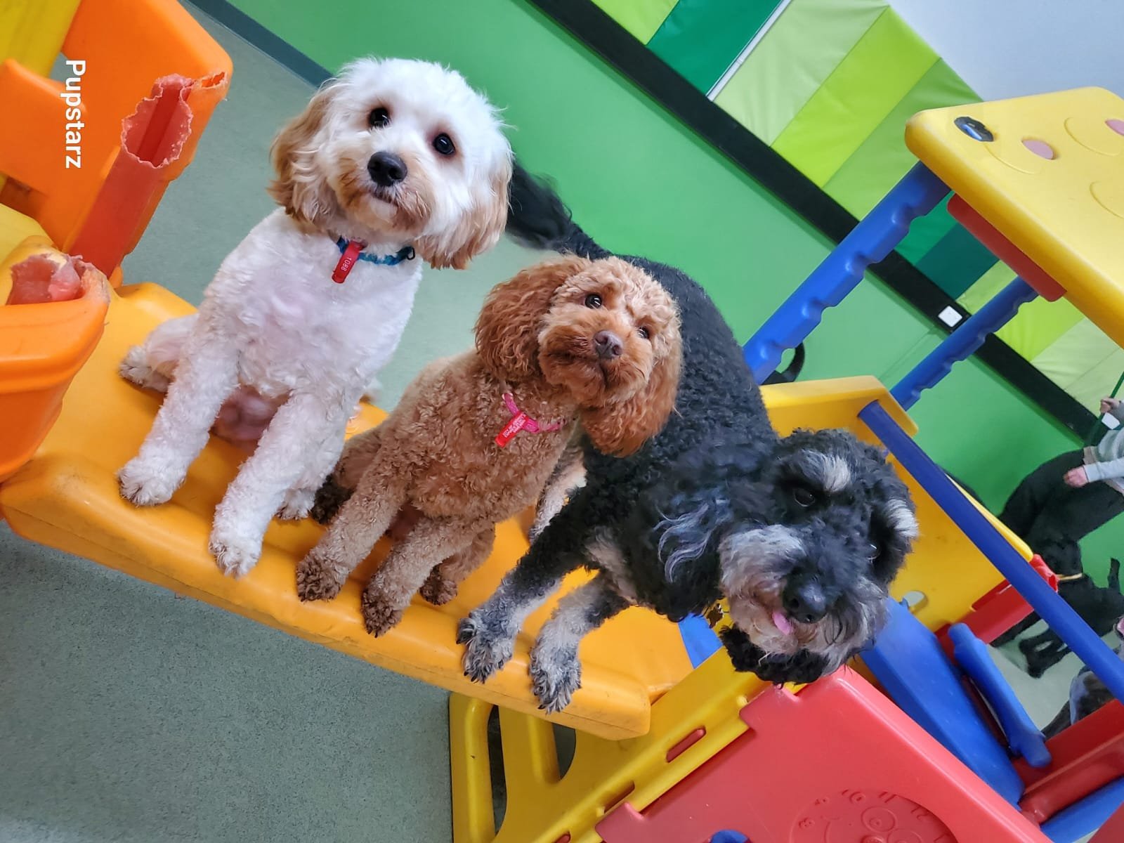 f8a391c0-d471-4d94-81f3-a92cea800aeb