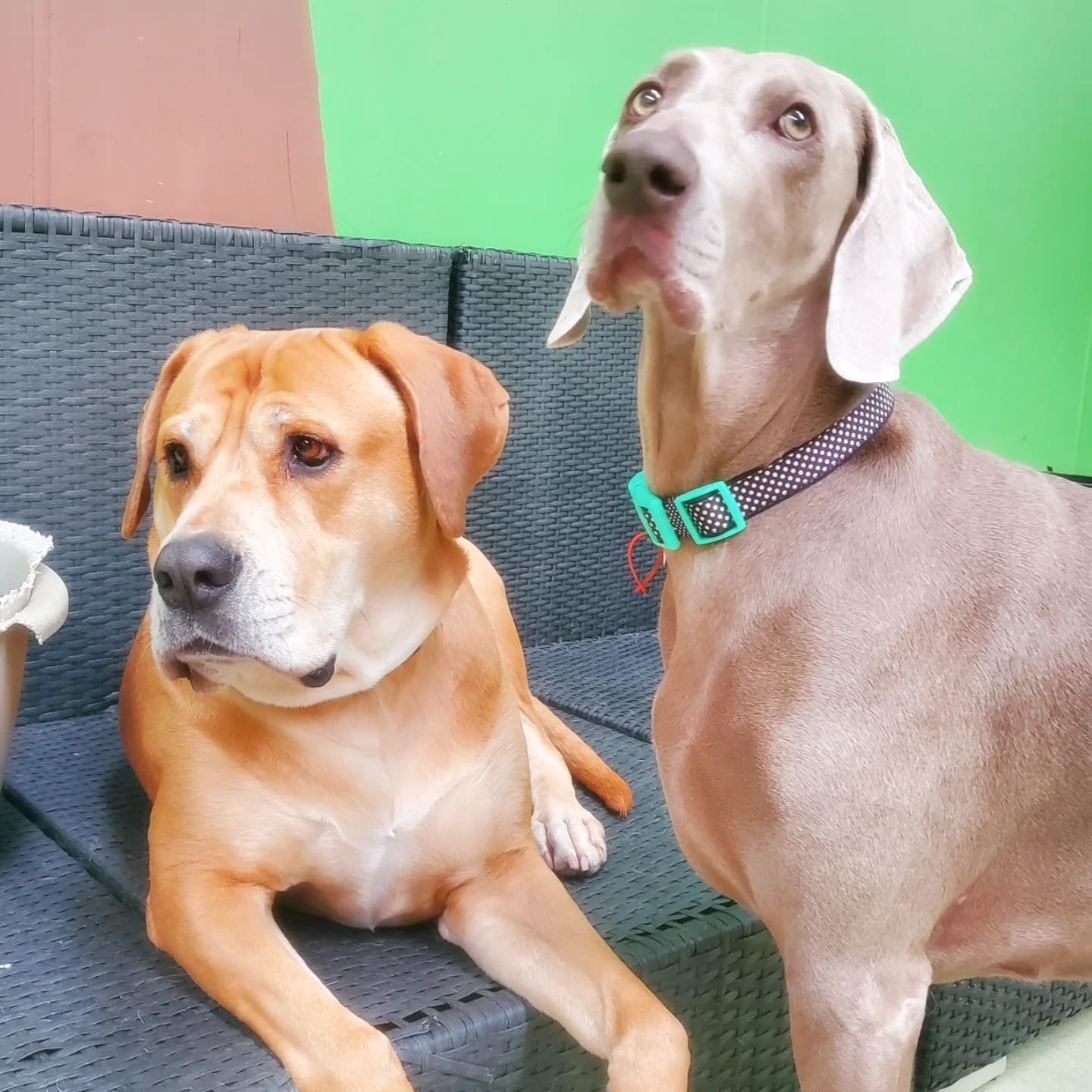 f9106280-bd81-4dea-a71a-8ac39b8a165b